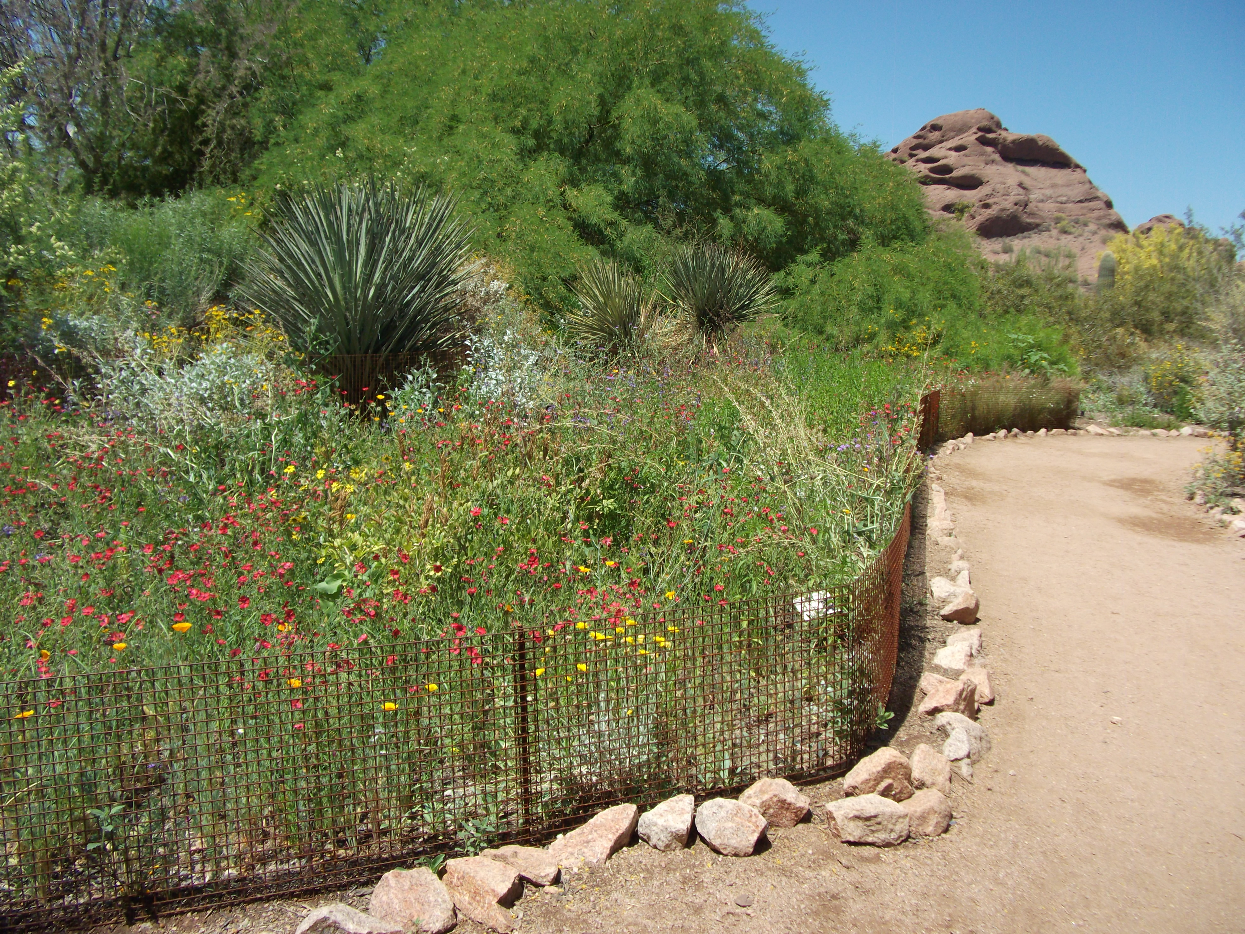 2012_04_28_phxa_131.jpg (large)