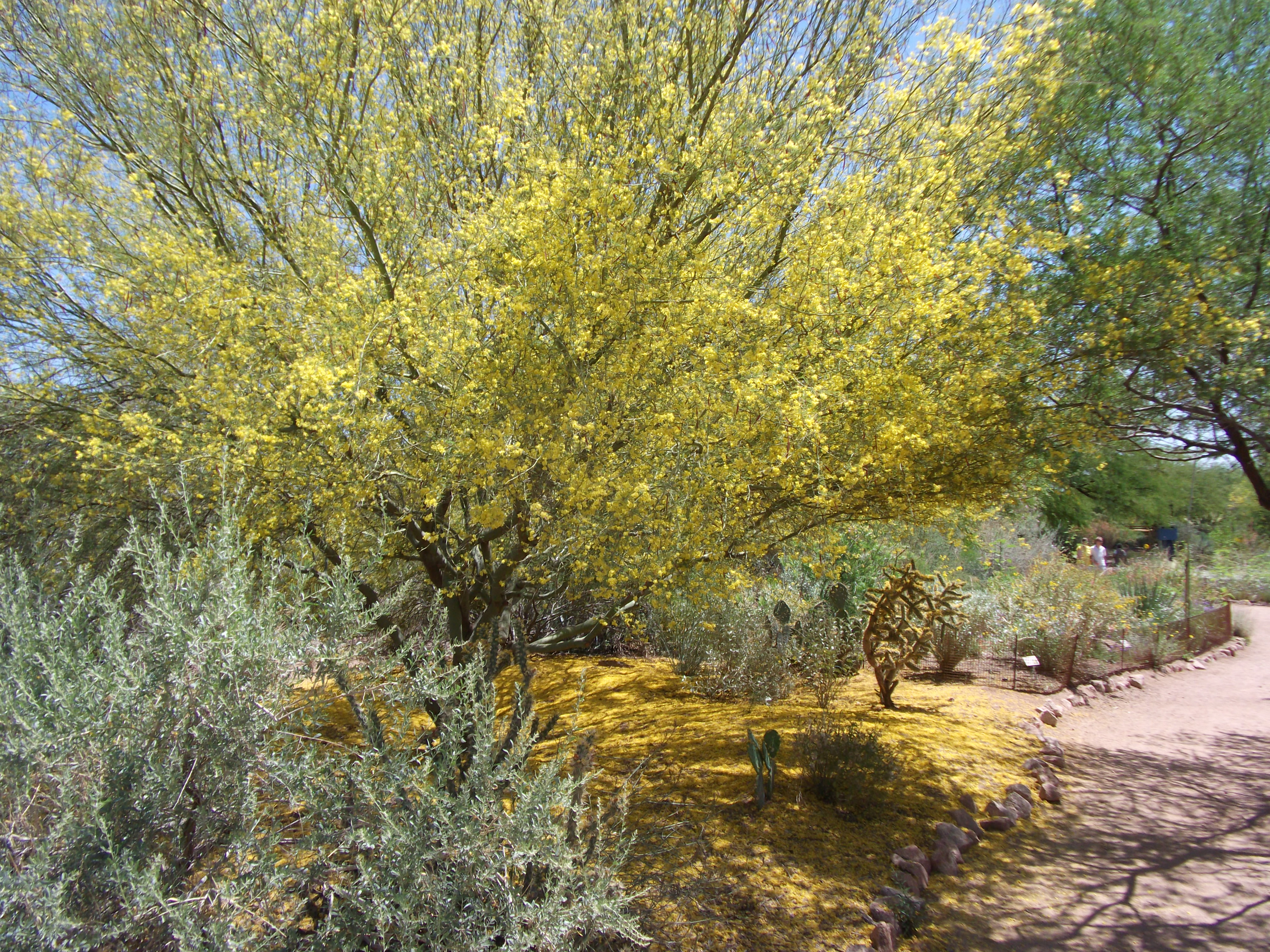 2012_04_28_phxa_133.jpg (large)