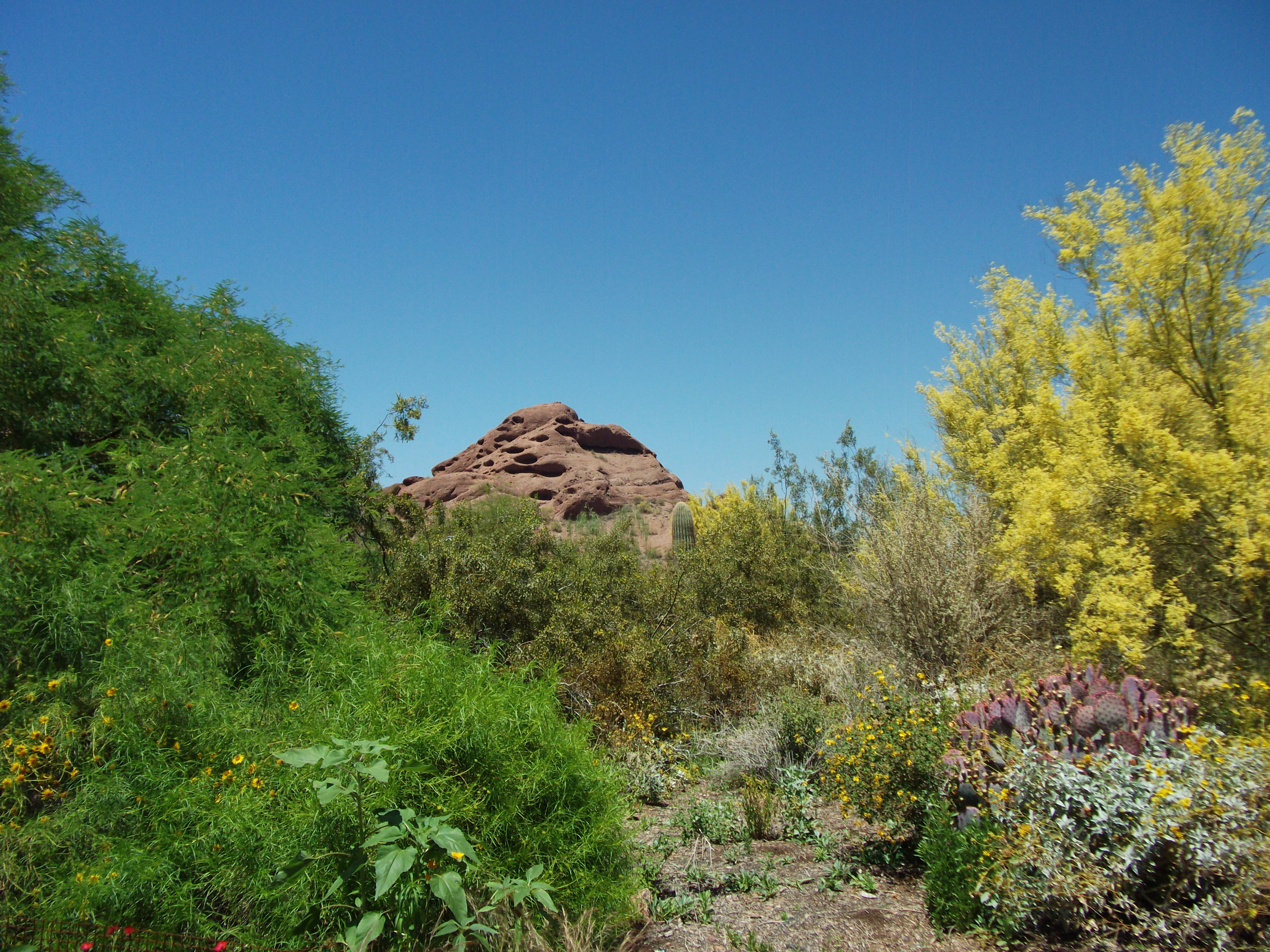 2012_04_28_phxa_134.jpg (large)