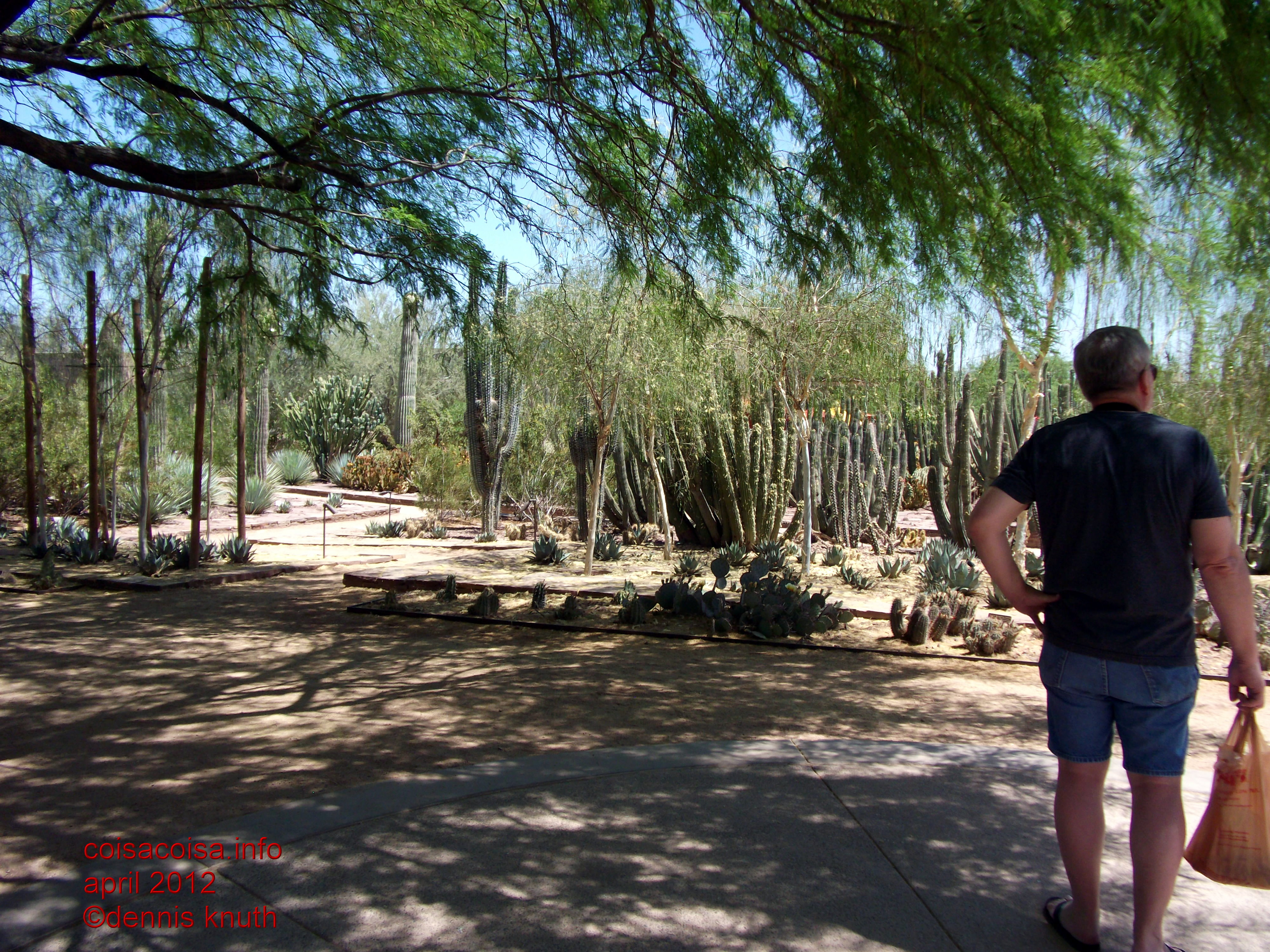 Dennis is the pathway shade of the Botanical Gardens