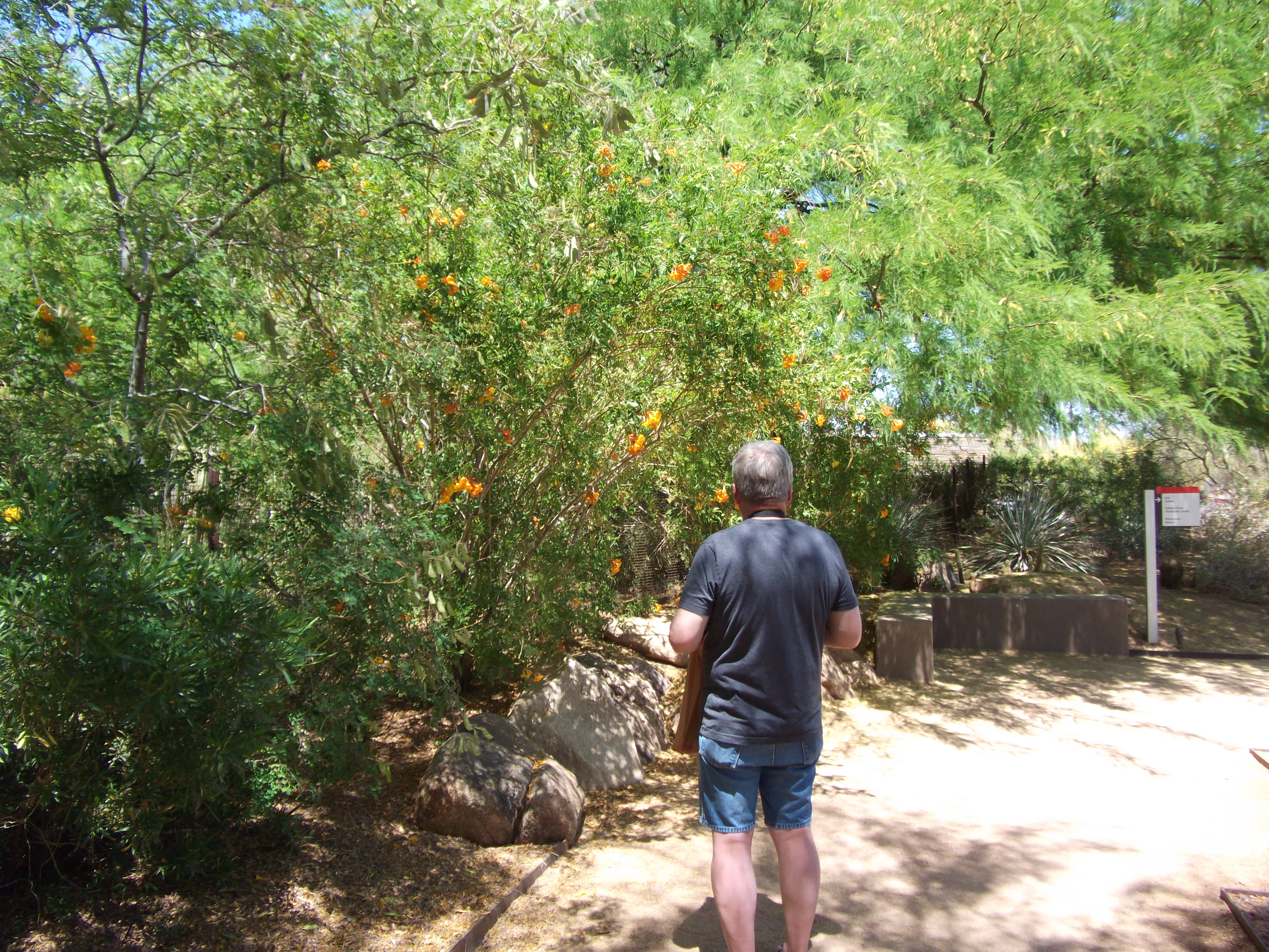 2012_04_28_phxa_138.jpg (large)