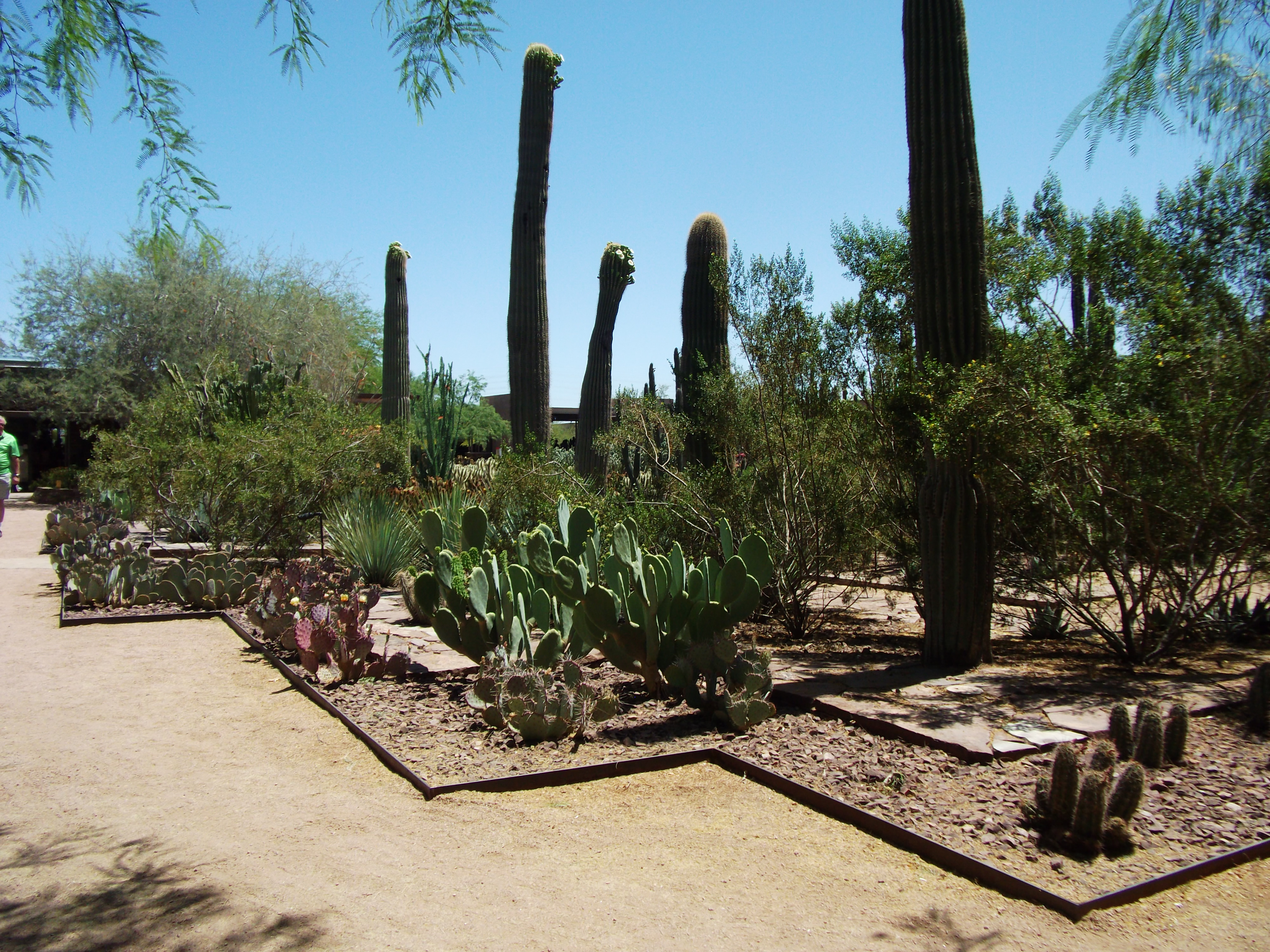 2012_04_28_phxa_141.jpg (large)