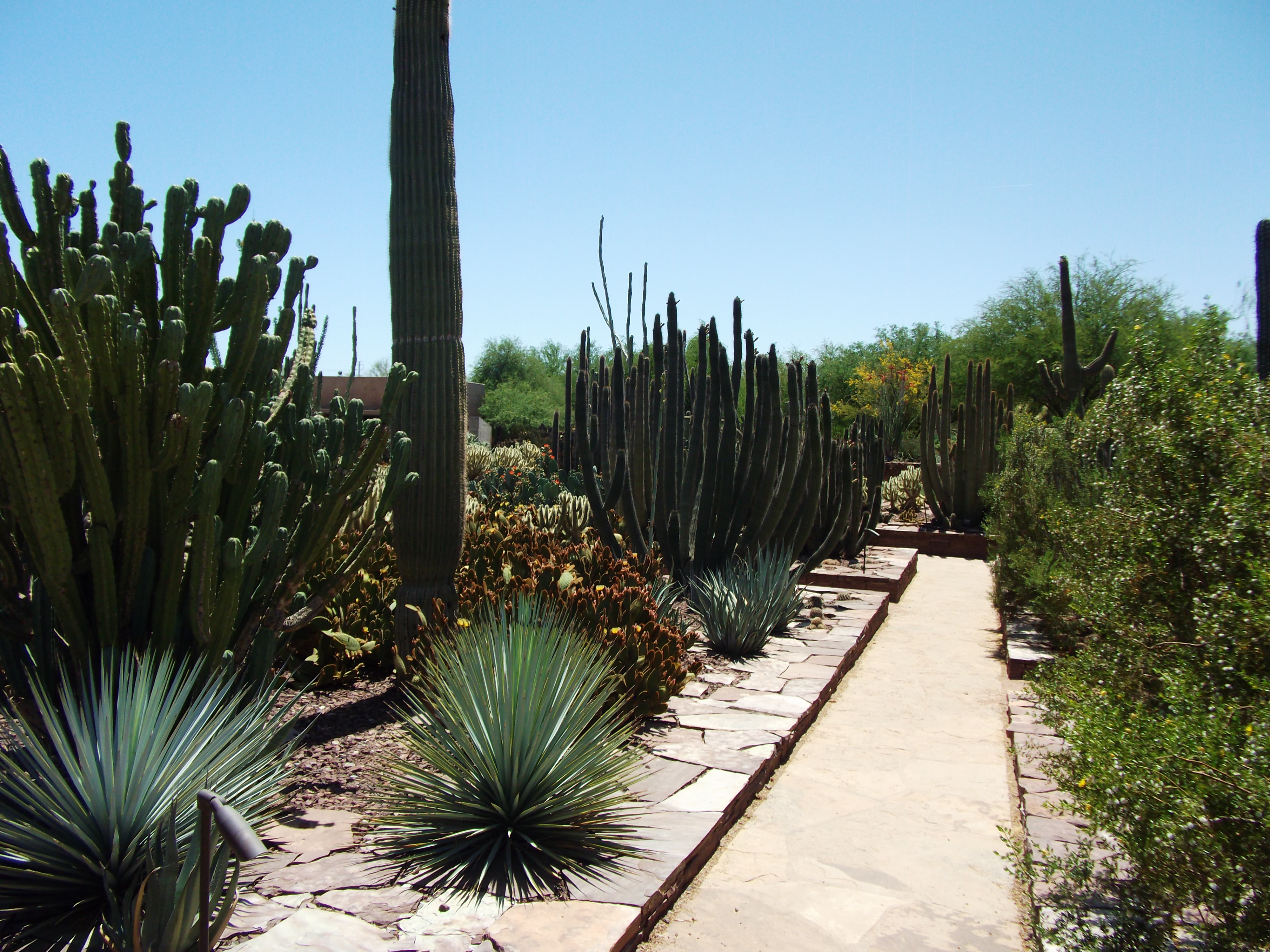 2012_04_28_phxa_144.jpg (large)