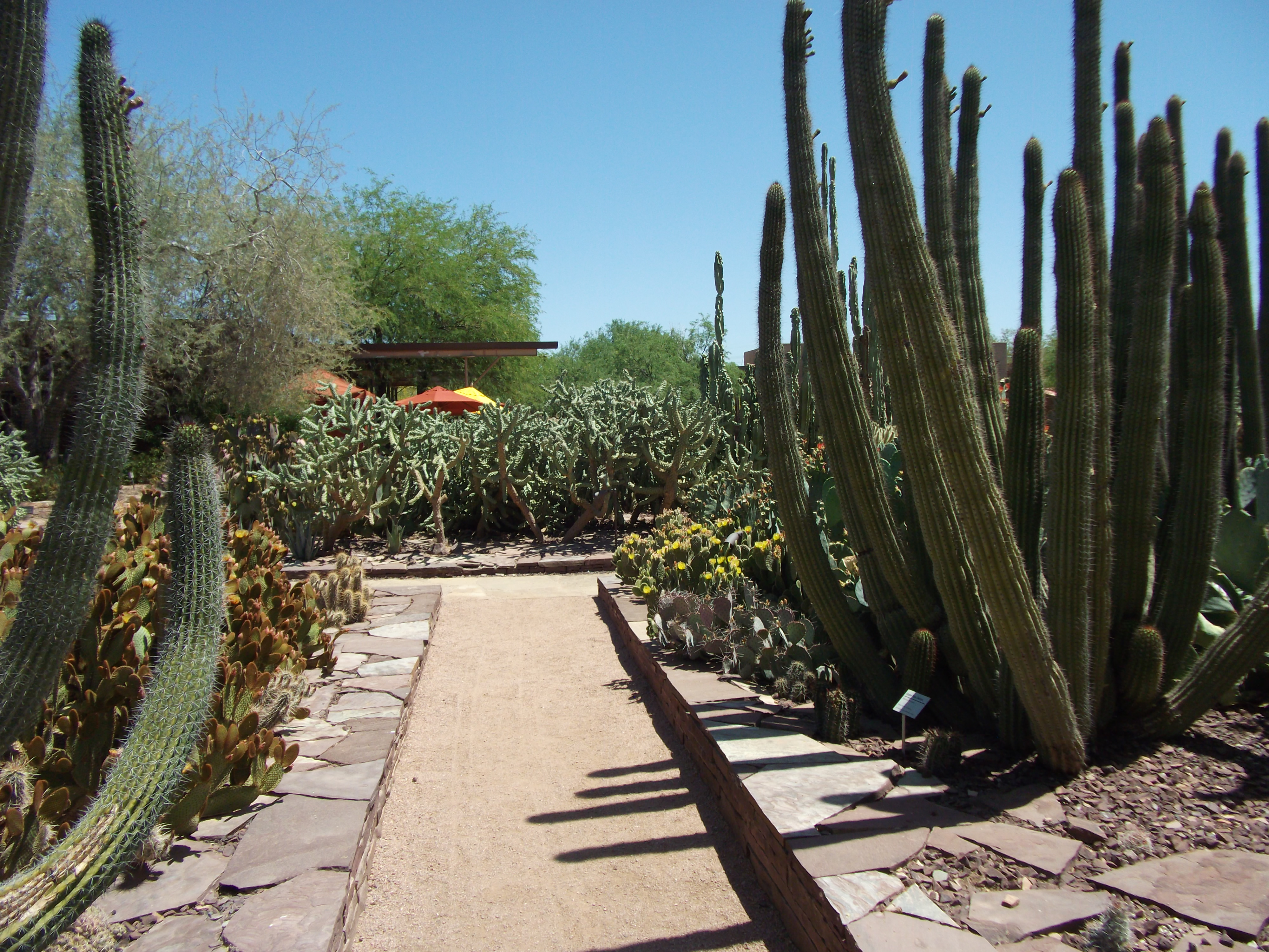 2012_04_28_phxa_146.jpg (large)