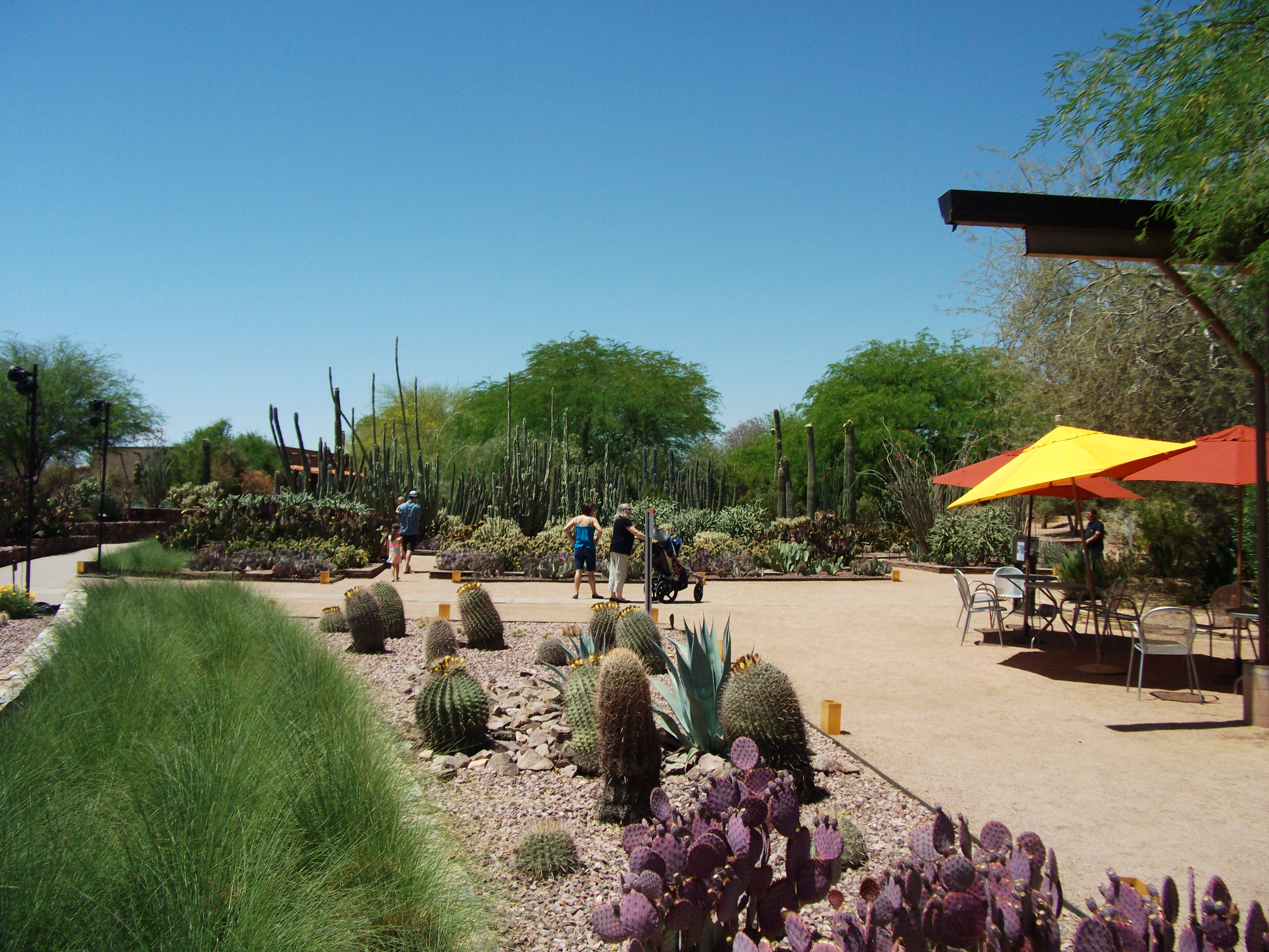 2012_04_28_phxa_150.jpg (large)