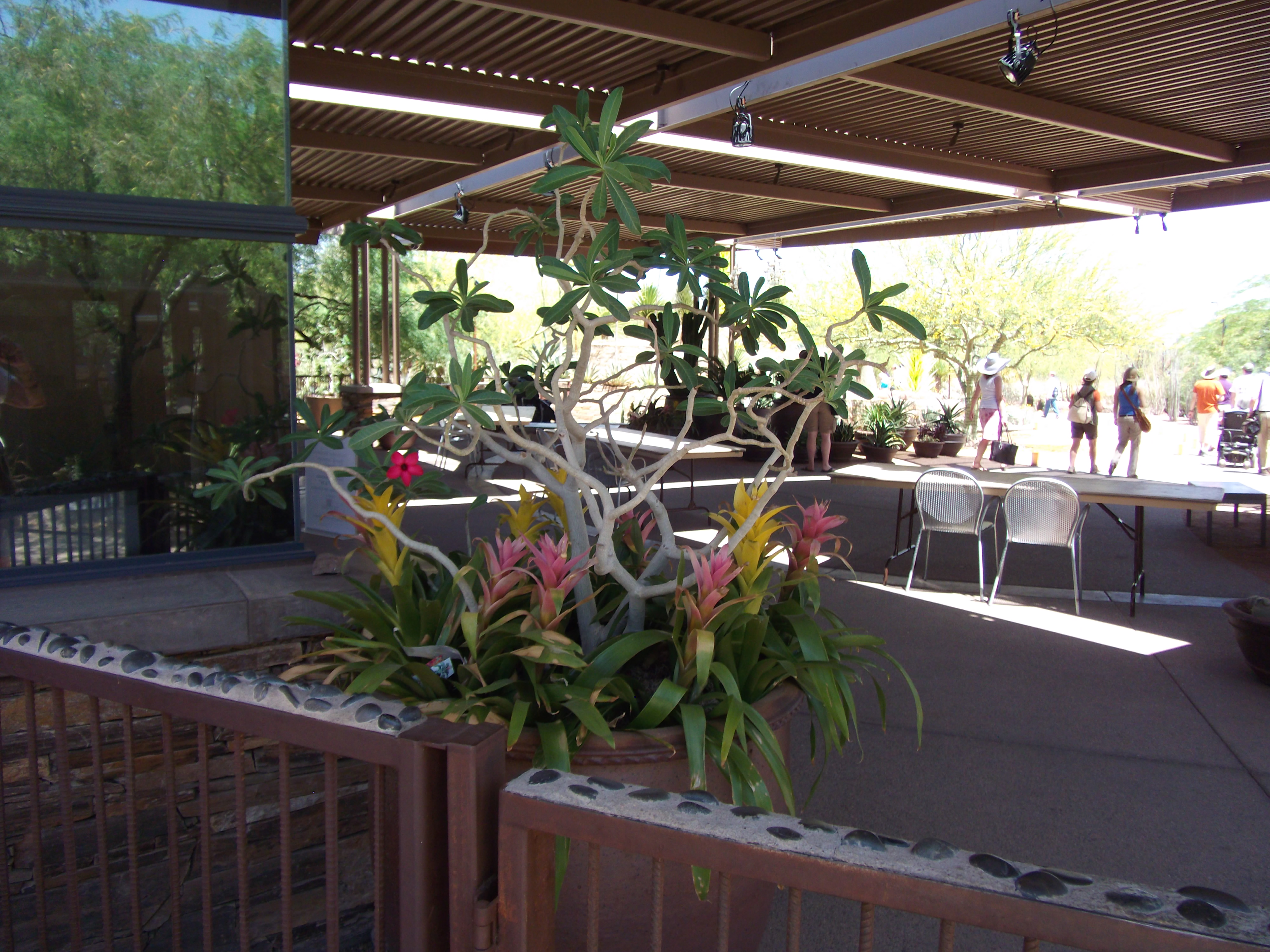 2012_04_28_phxa_152.jpg (large)