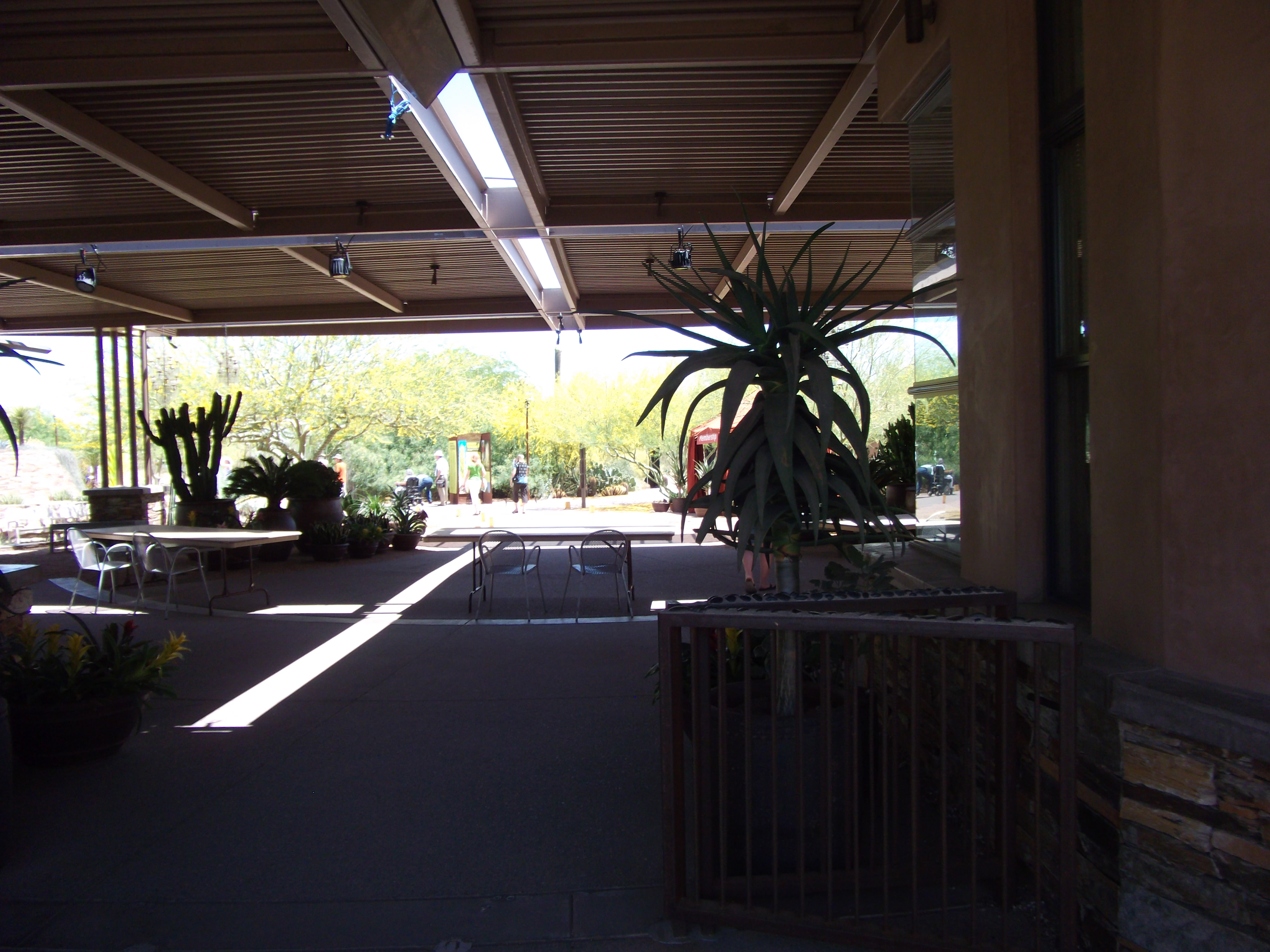 2012_04_28_phxa_153.jpg (large)