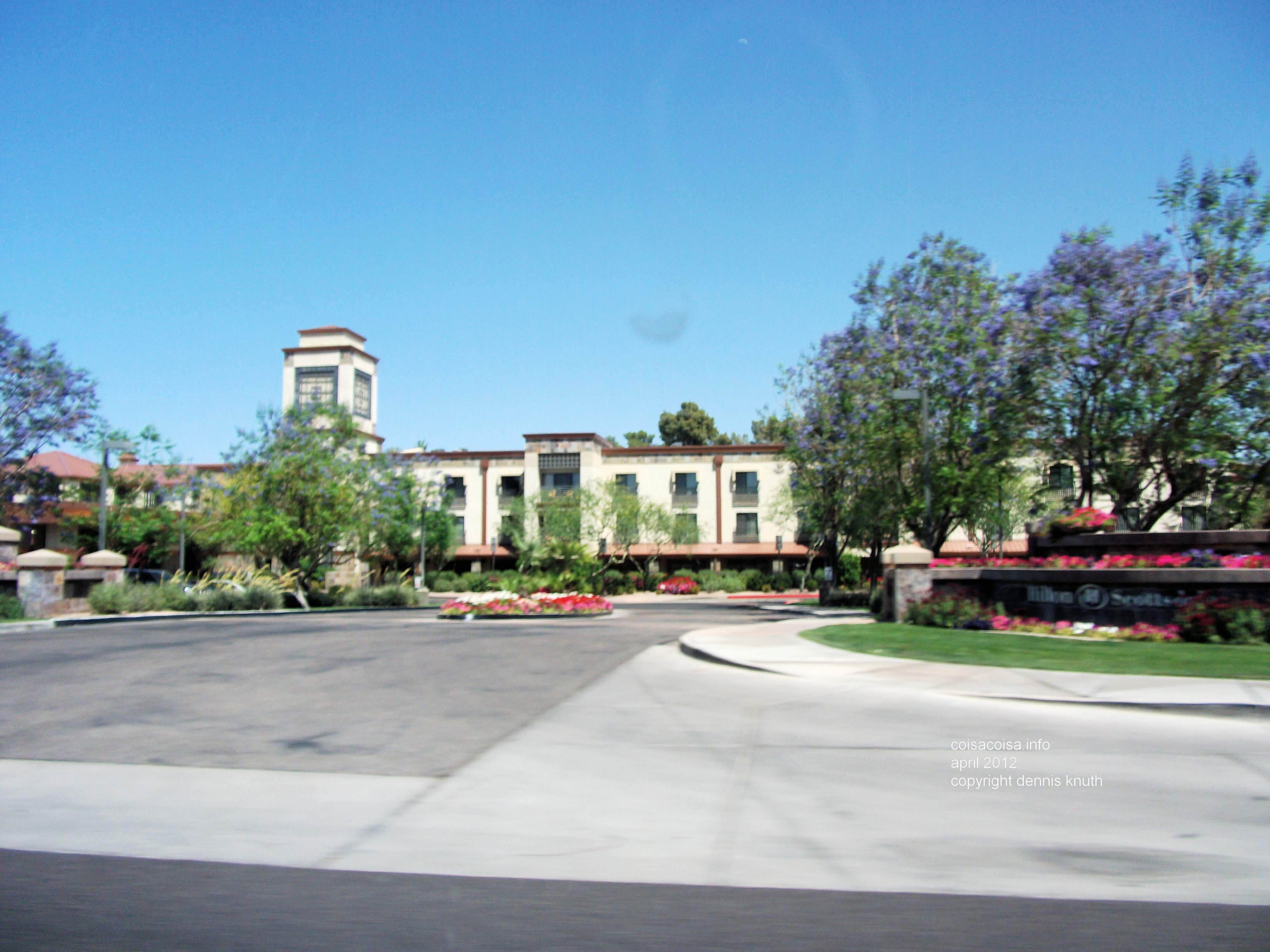 Stella photographs a Scottdale Strip Mall