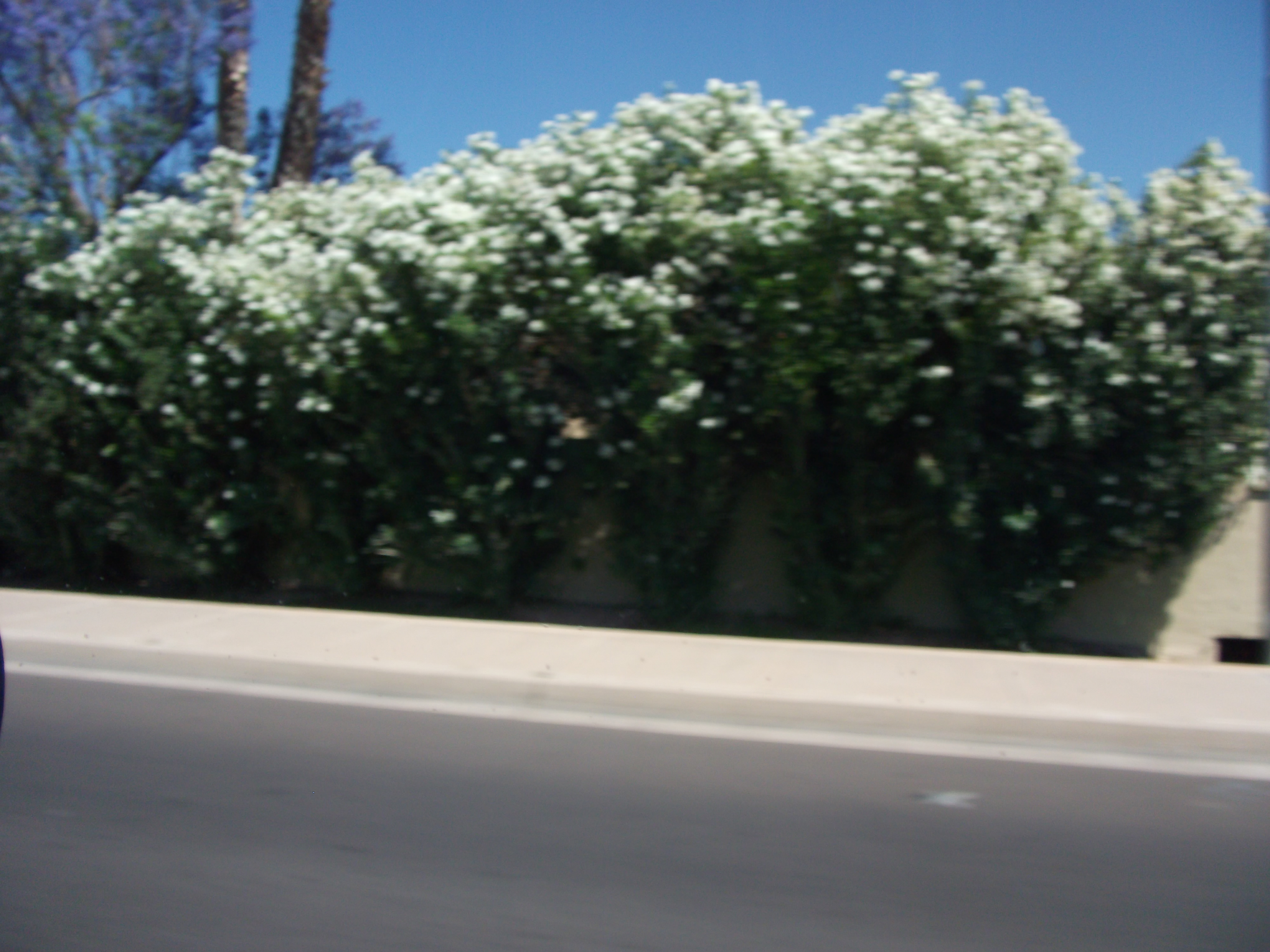 2012_04_28_c_scottsdale_0006.jpg (large)