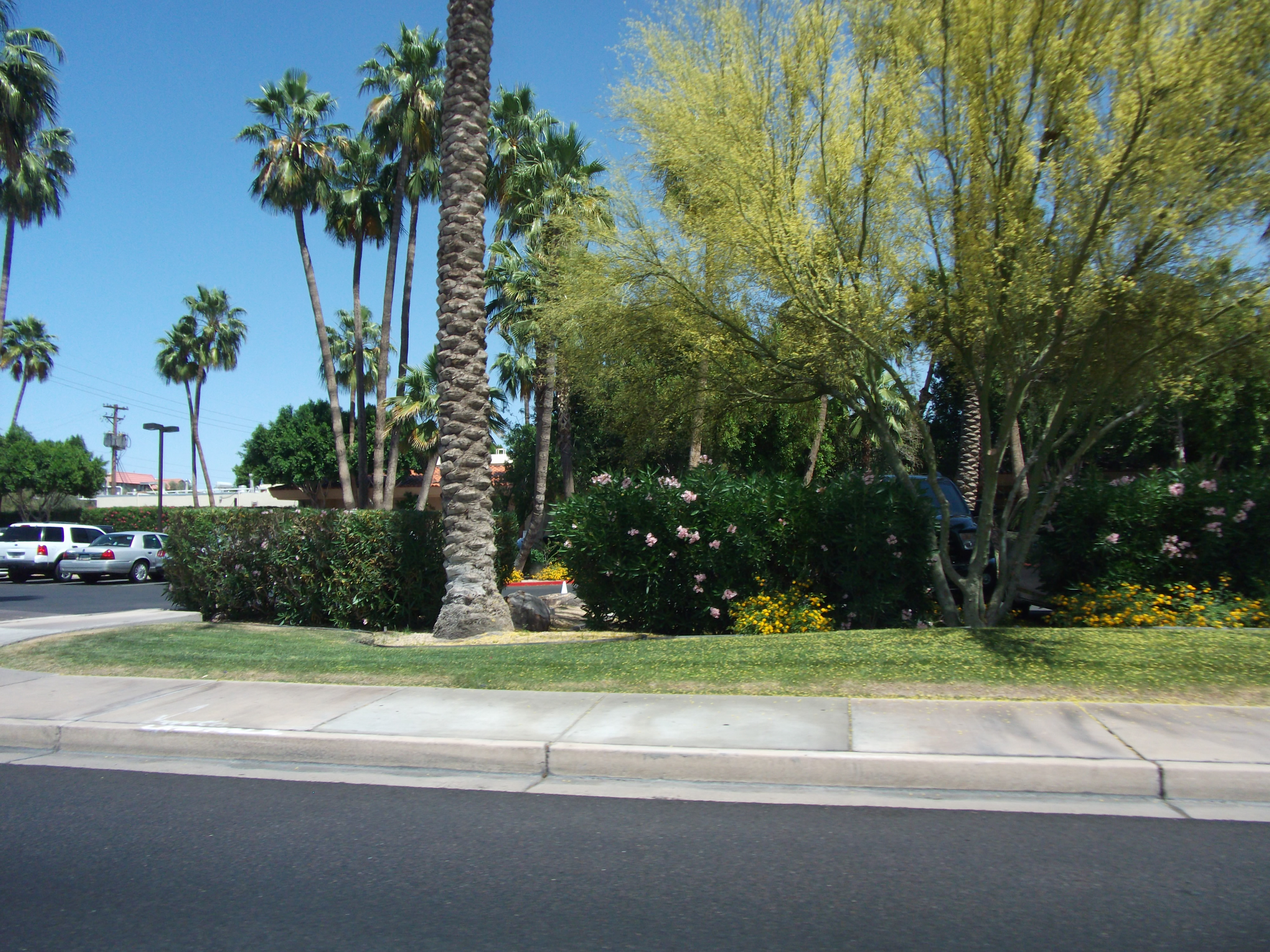 2012_04_28_phxa_158.jpg (large)