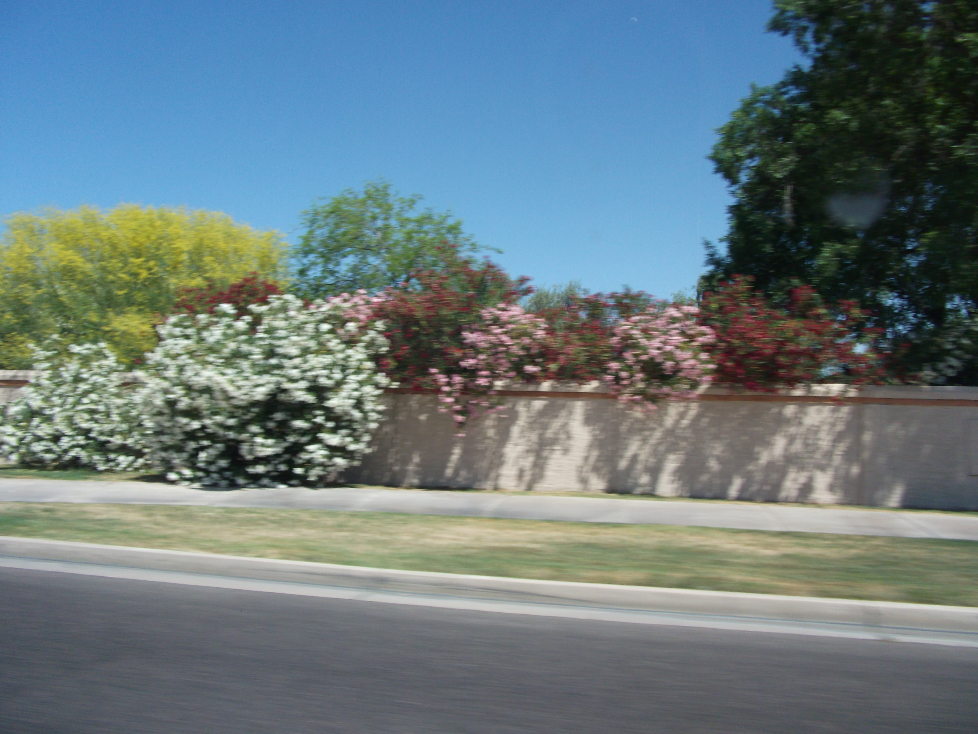 2012_04_28_phxa_162.jpg (large)