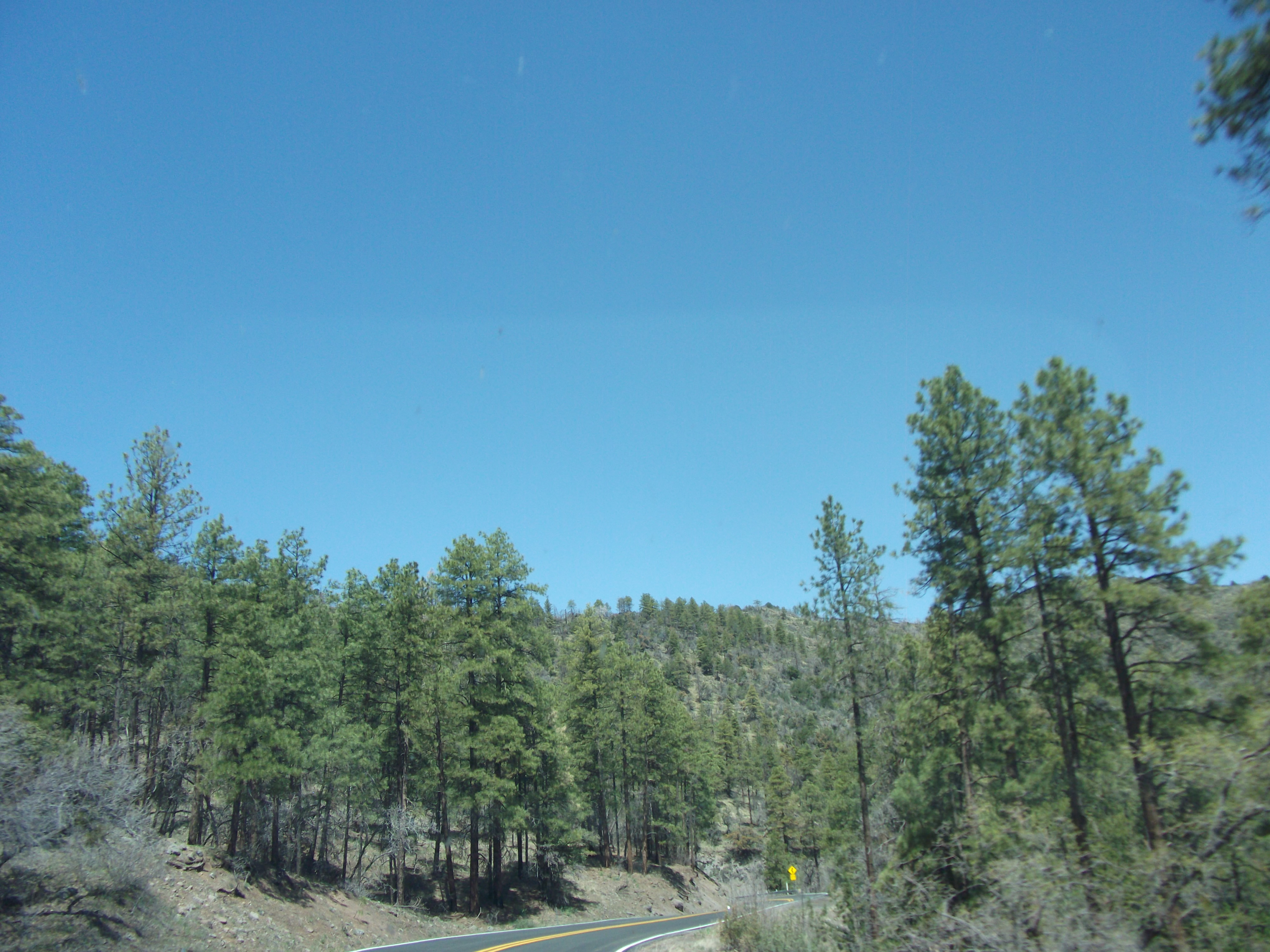 2012_04_29_jerome_sk_0014.jpg (large)