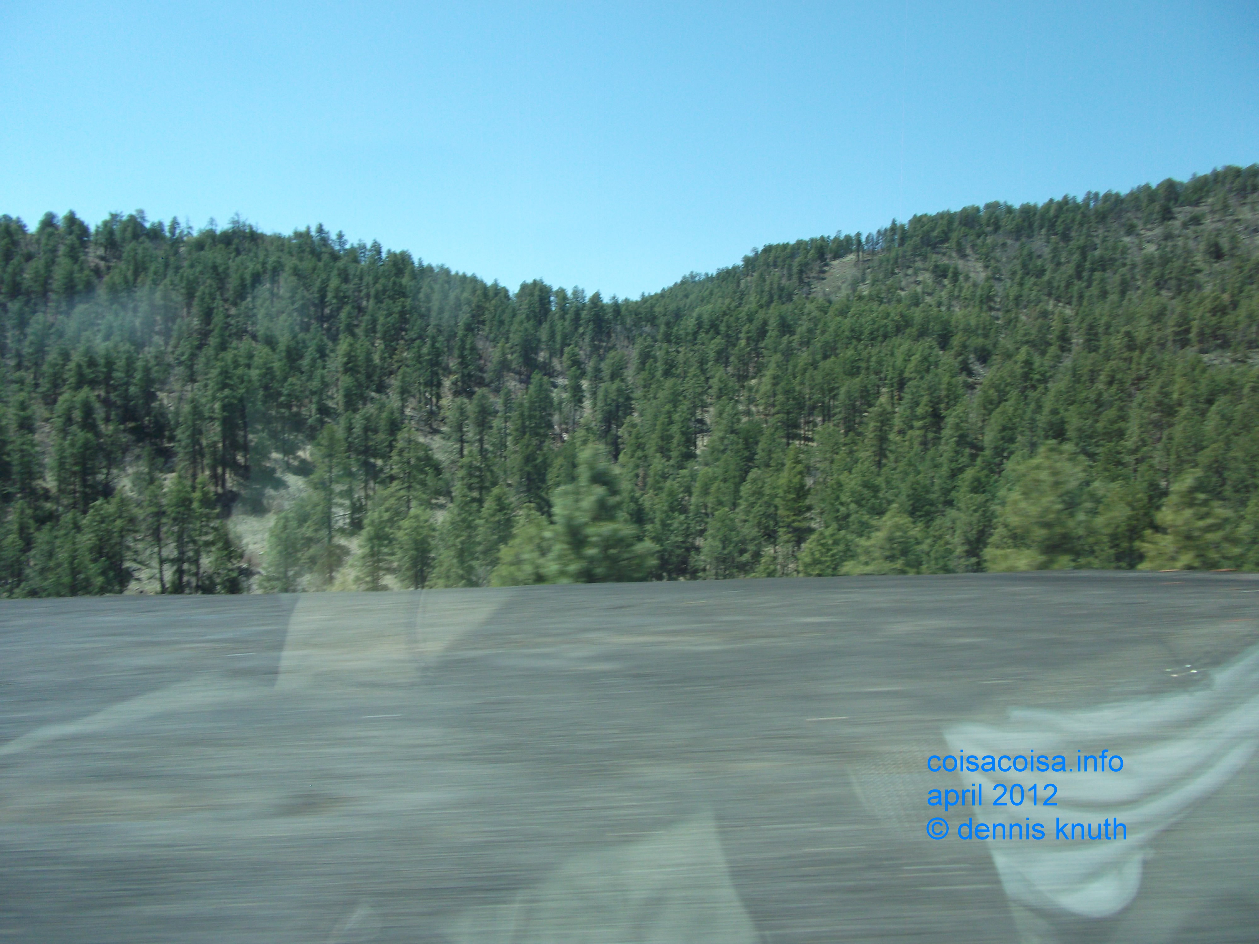 Trees on the mountain sides up from the Prescott Valley