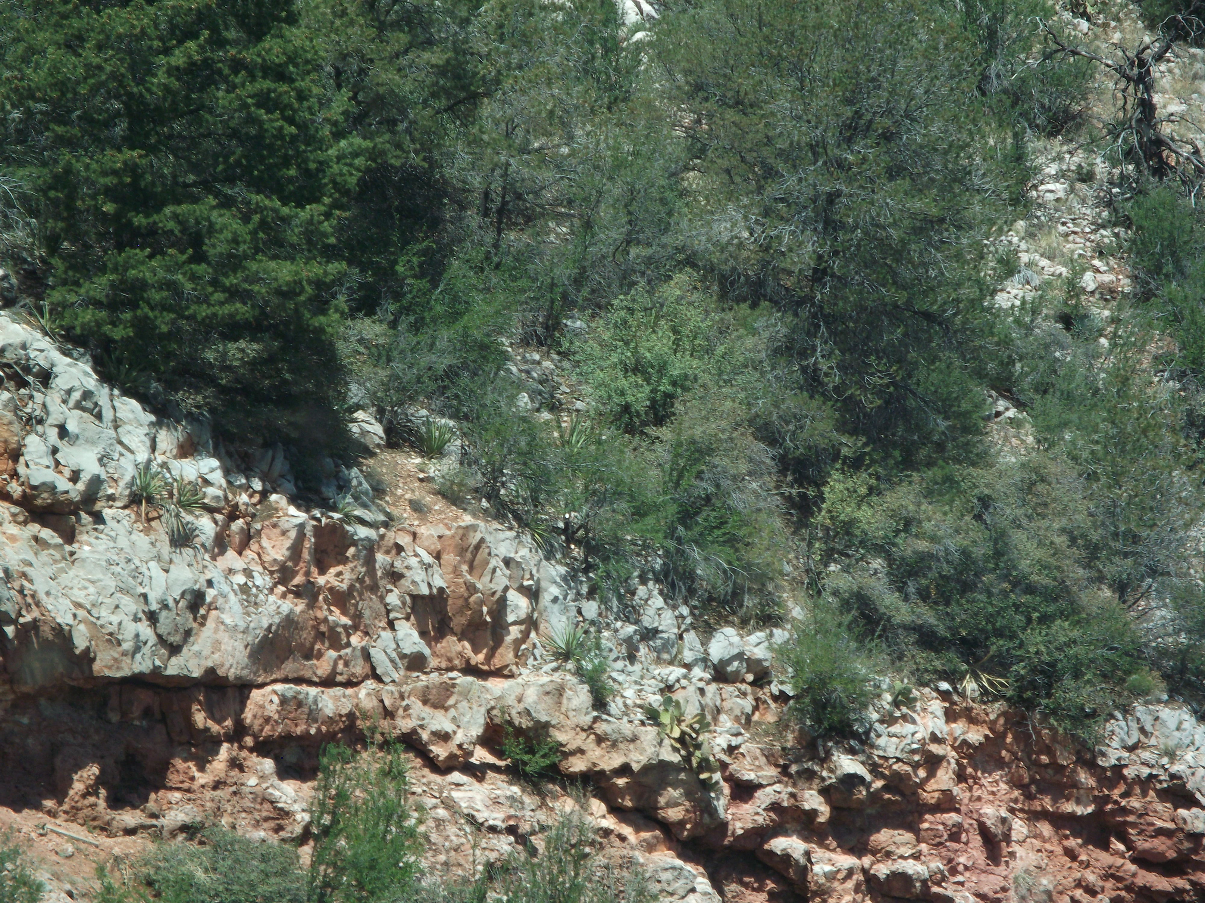 2012_04_29_jerome_sk_0020.jpg (large)