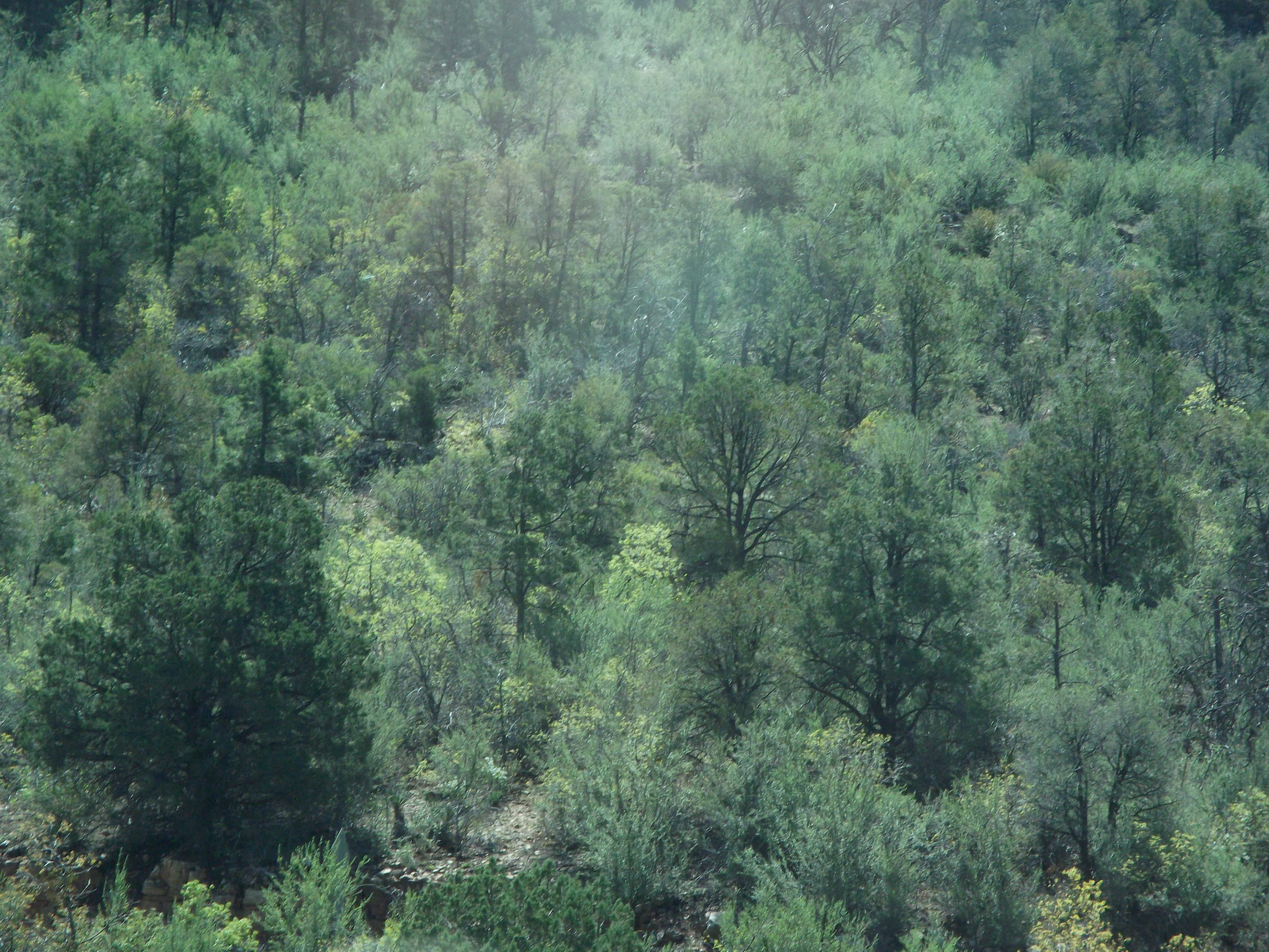 2012_04_29_jerome_sk_0022.jpg (large)