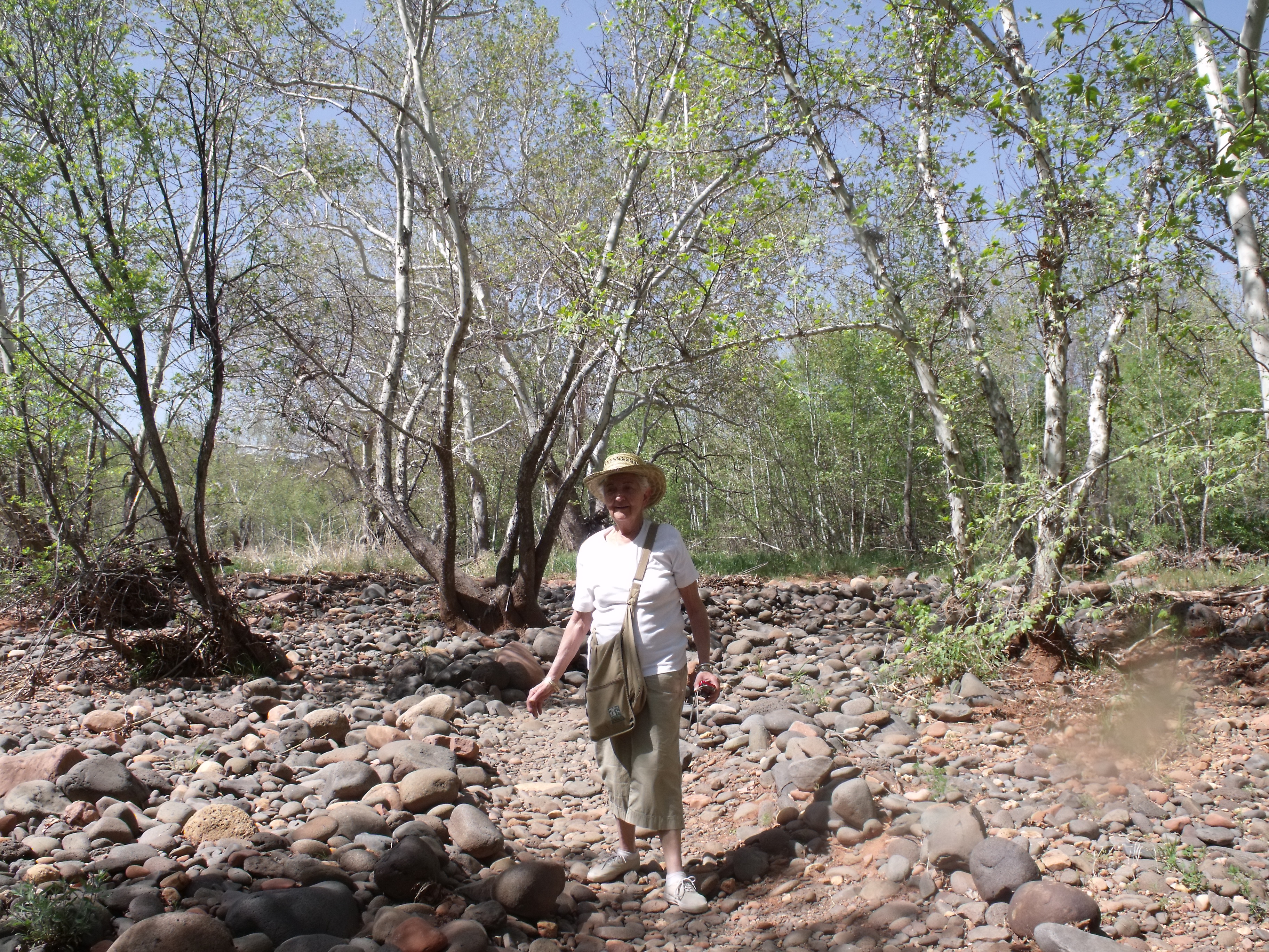 2012_04_30_sedona_dk_0004.jpg (large)