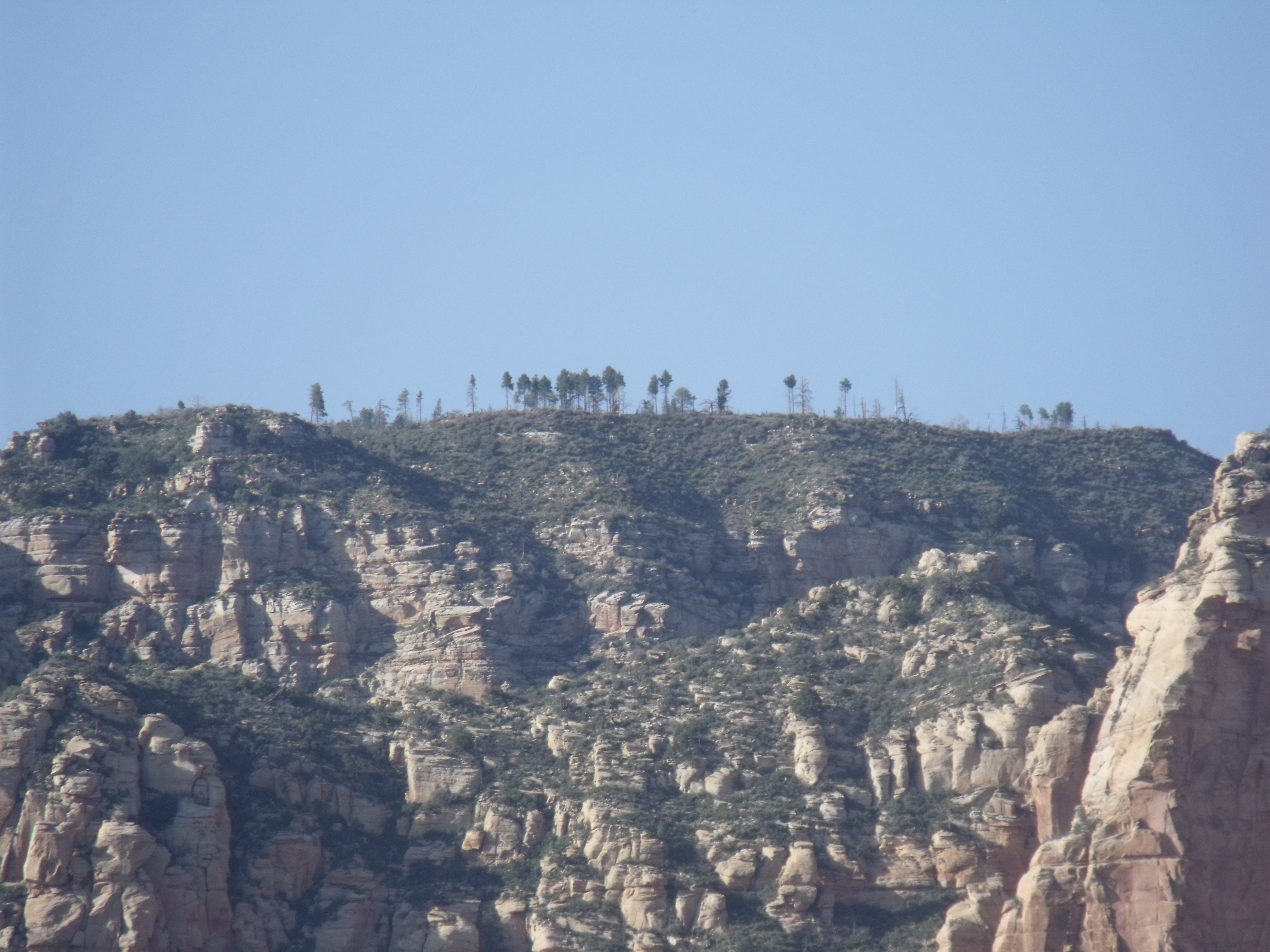 2012_04_30_sedona_dk_0016.jpg (large)