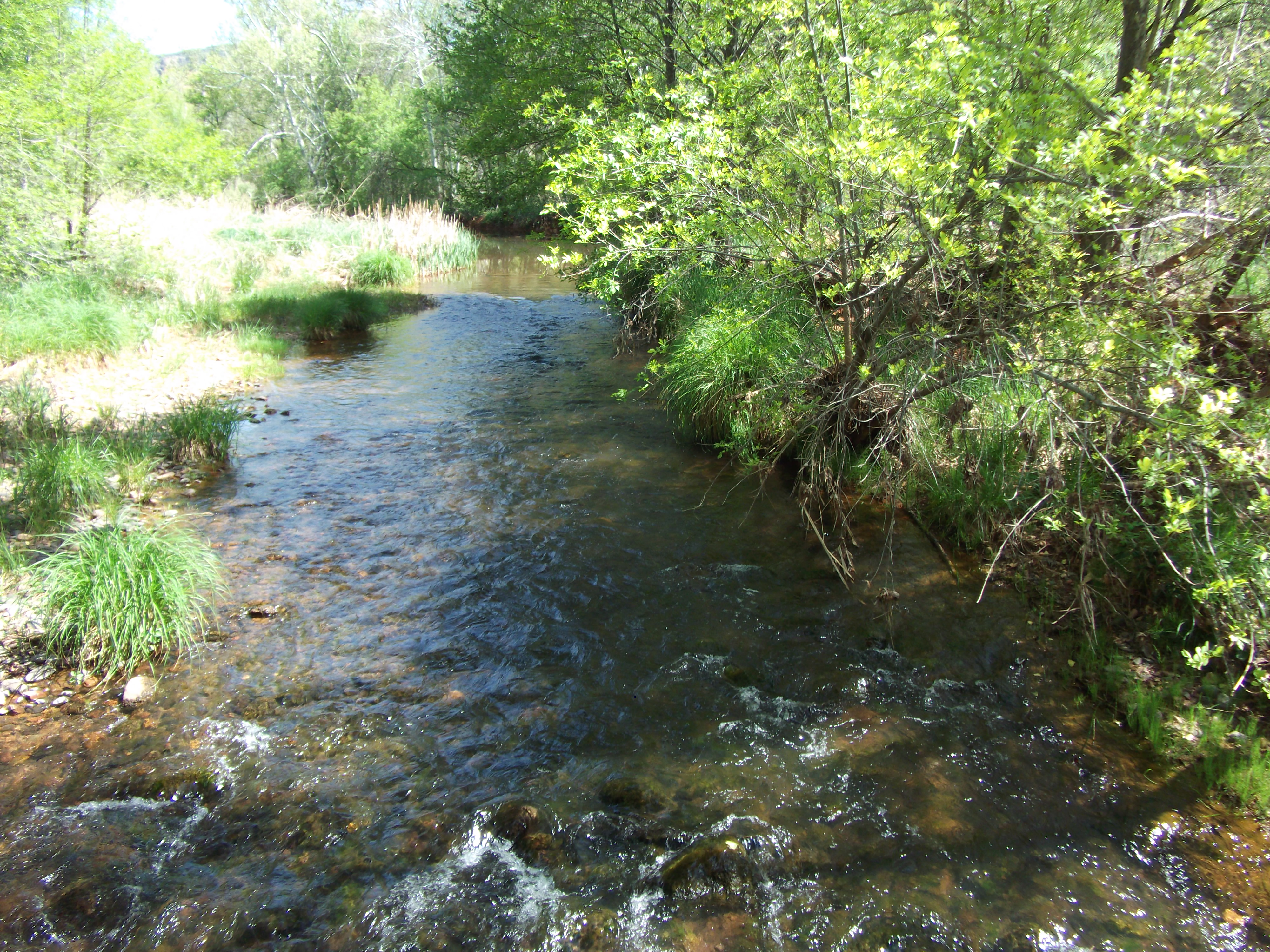 2012_04_30_sedona_sk_0029.jpg (large)