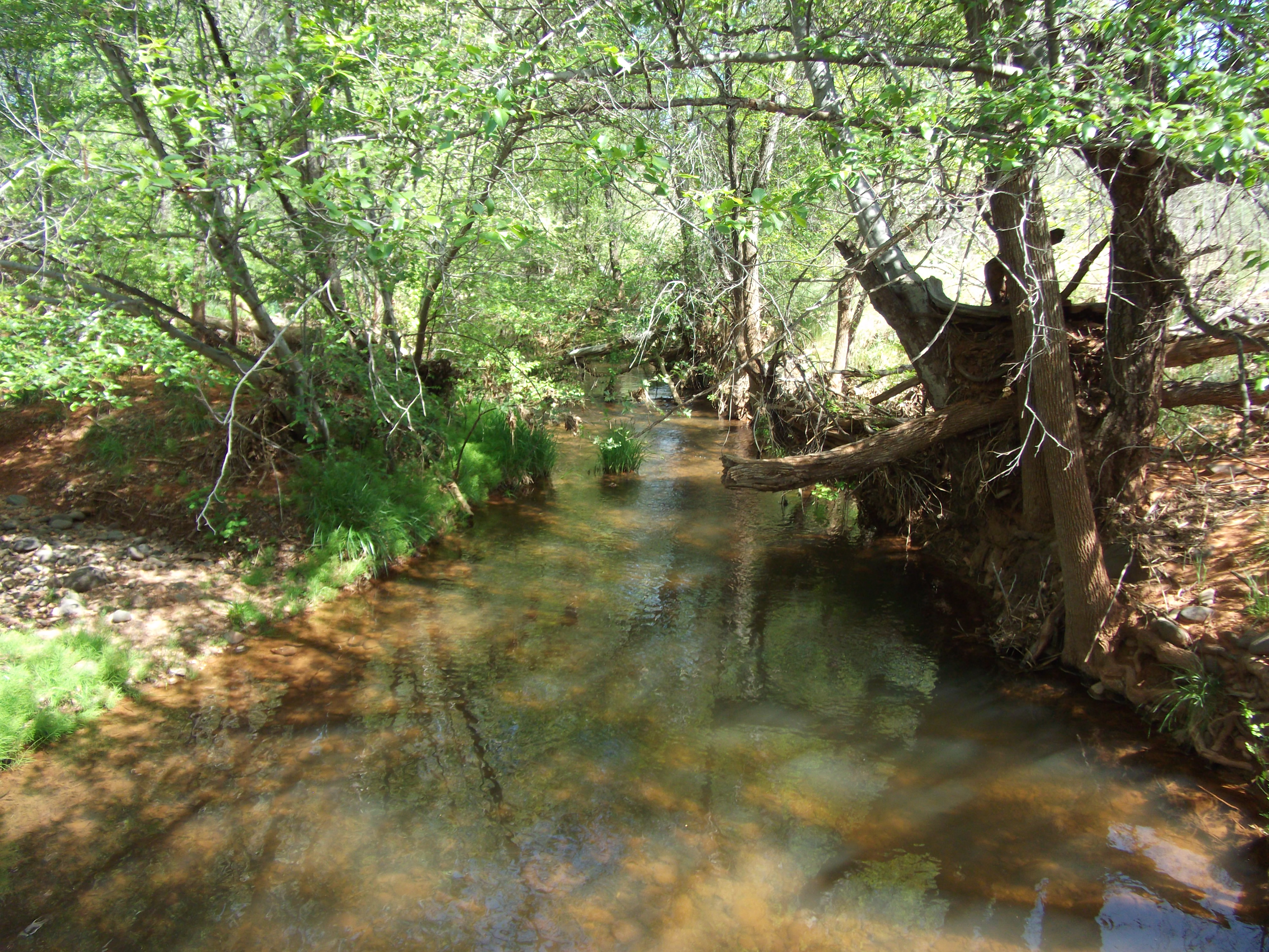 2012_04_30_sedona_sk_0033.jpg (large)