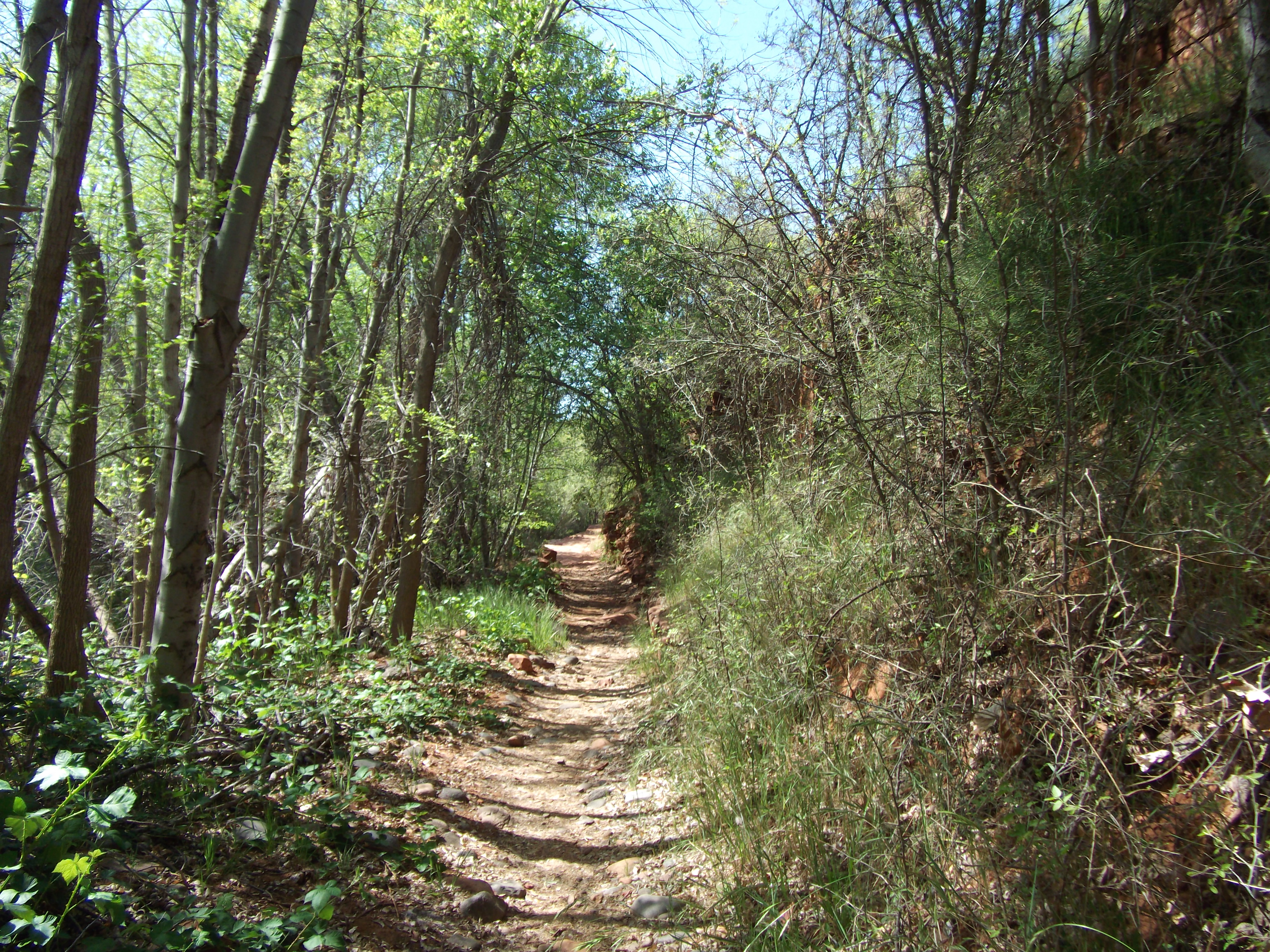 2012_04_30_sedona_sk_0034.jpg (large)