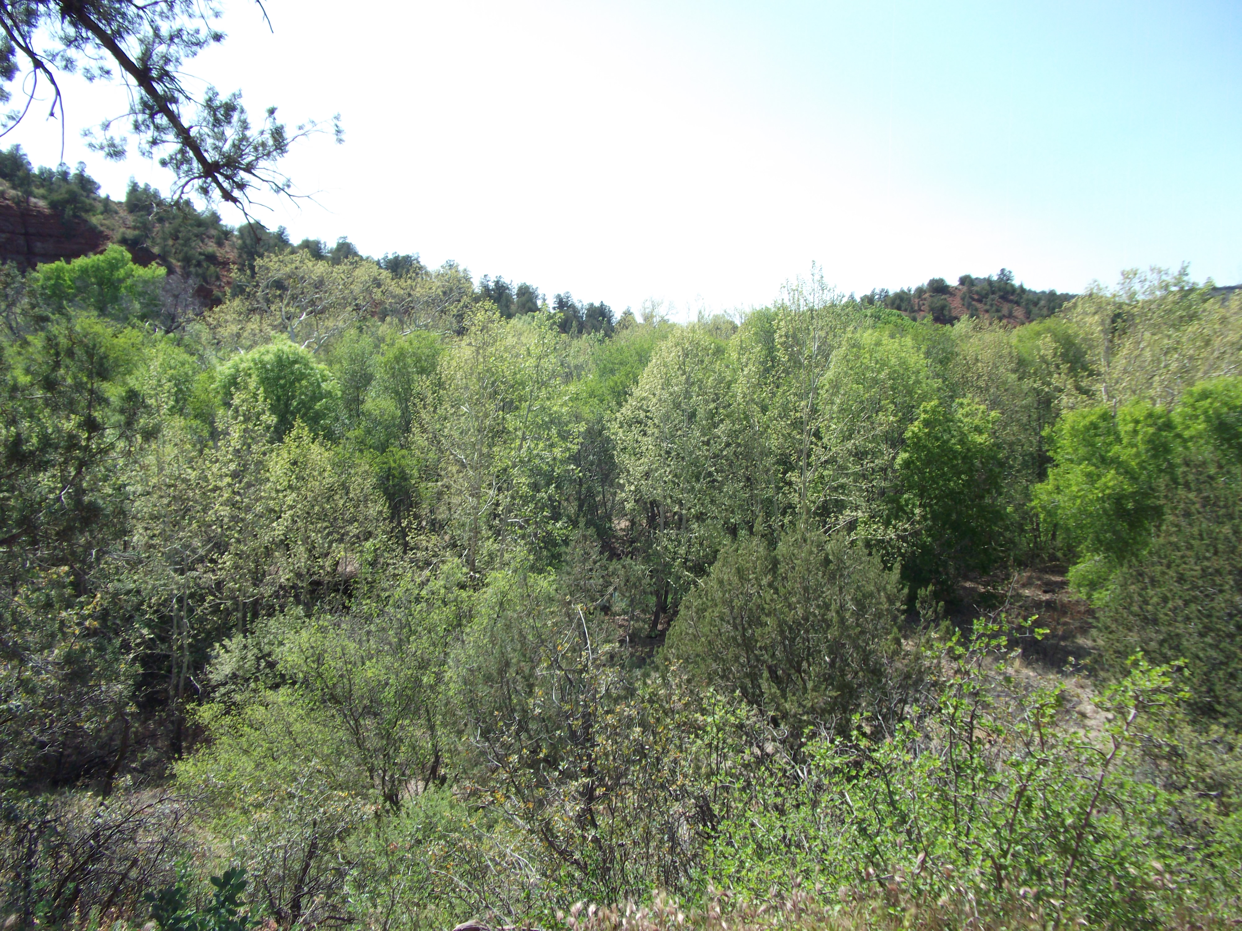 2012_04_30_sedona_sk_0039.jpg (large)