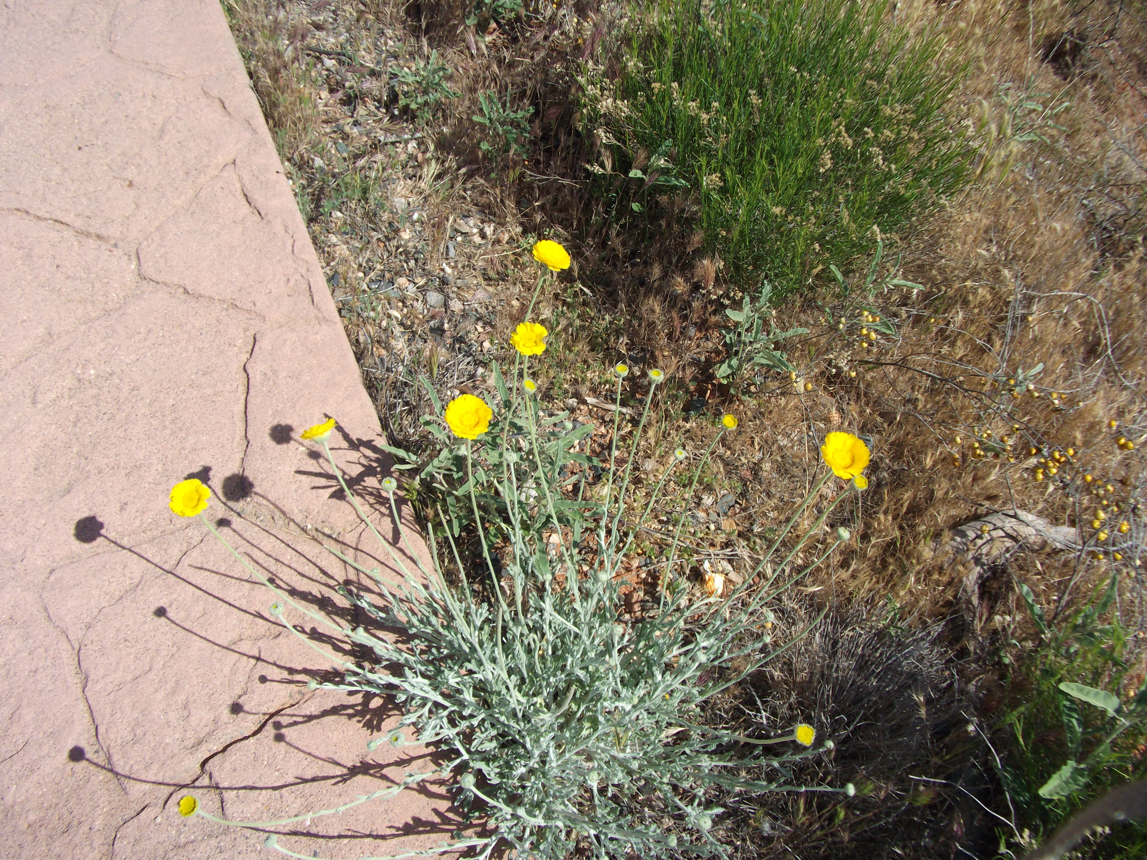 2012_04_30_sedona_sk_0040.jpg (large)
