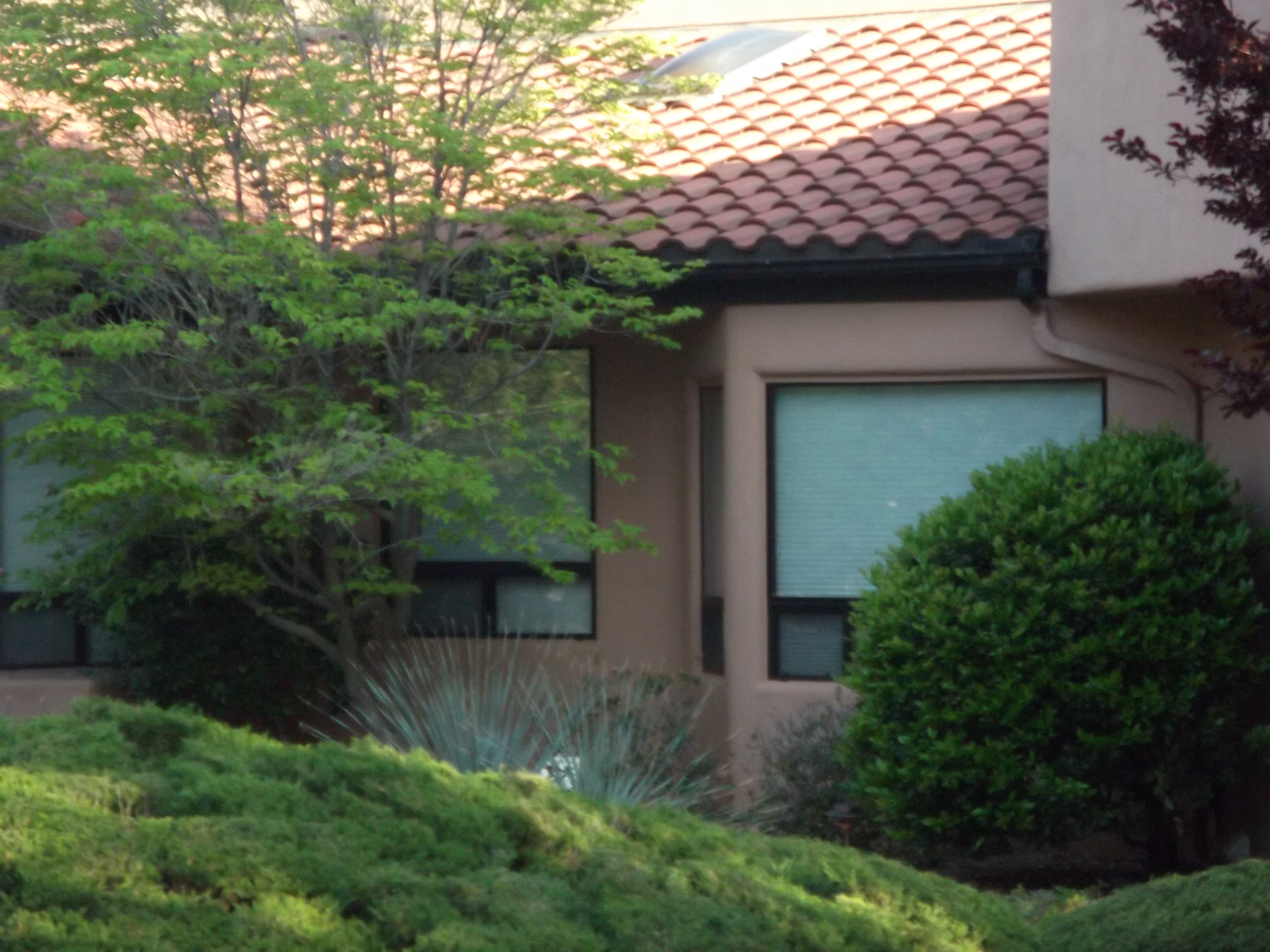 2012_04_30_sedona_sk_0091.jpg (large)