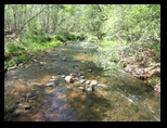 2012_04_30_sedona_sk_0028.jpg