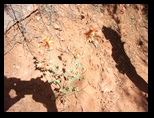 2012_04_30_sedona_sk_0035.jpg