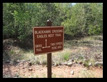 Blackhawk Crossing on a hiking trail in Sedona