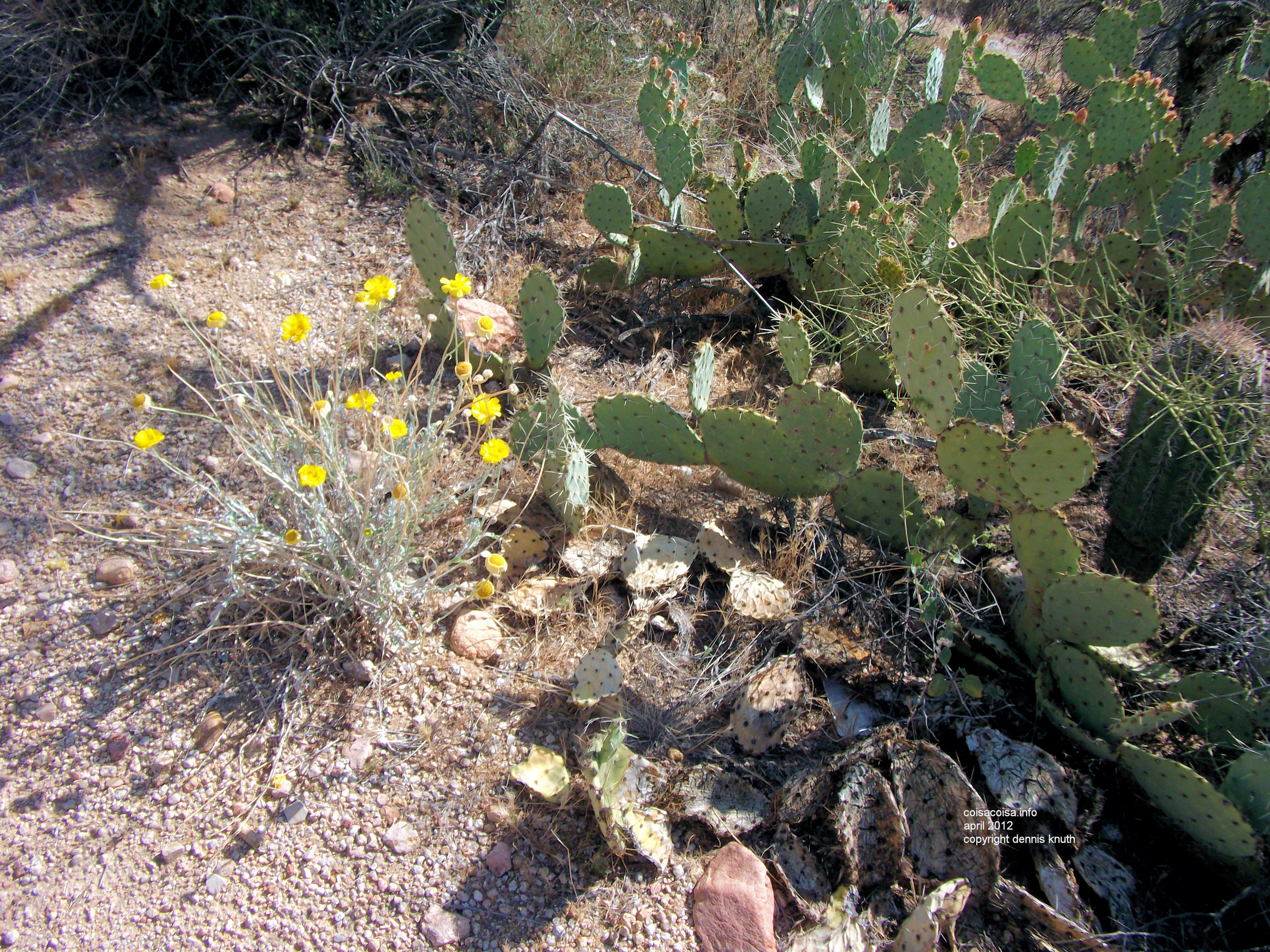 2012_04_30_a_payson_0014.jpg (large)