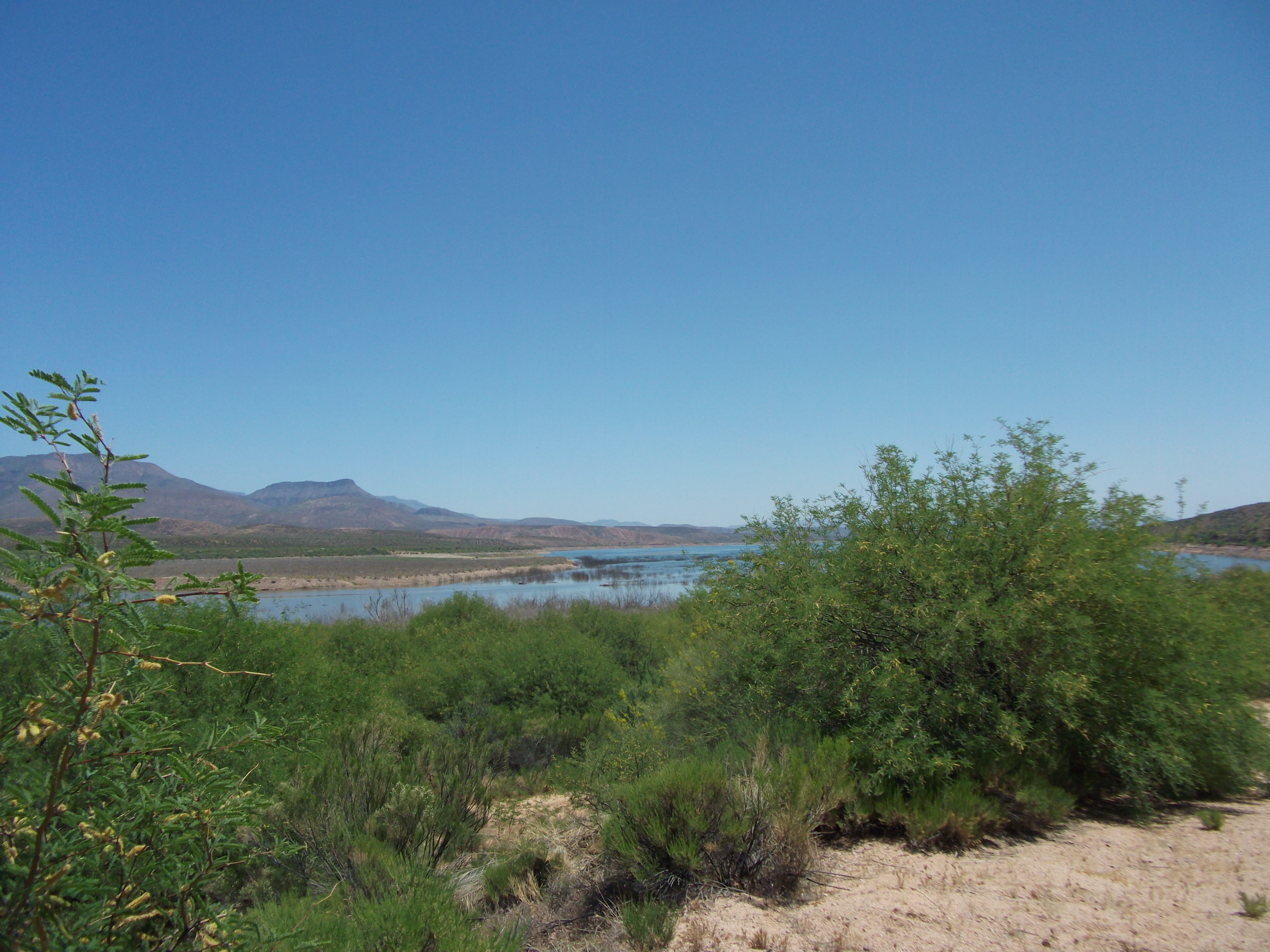 2012_05_01_roosevelt_lake_sk_0006.jpg (large)