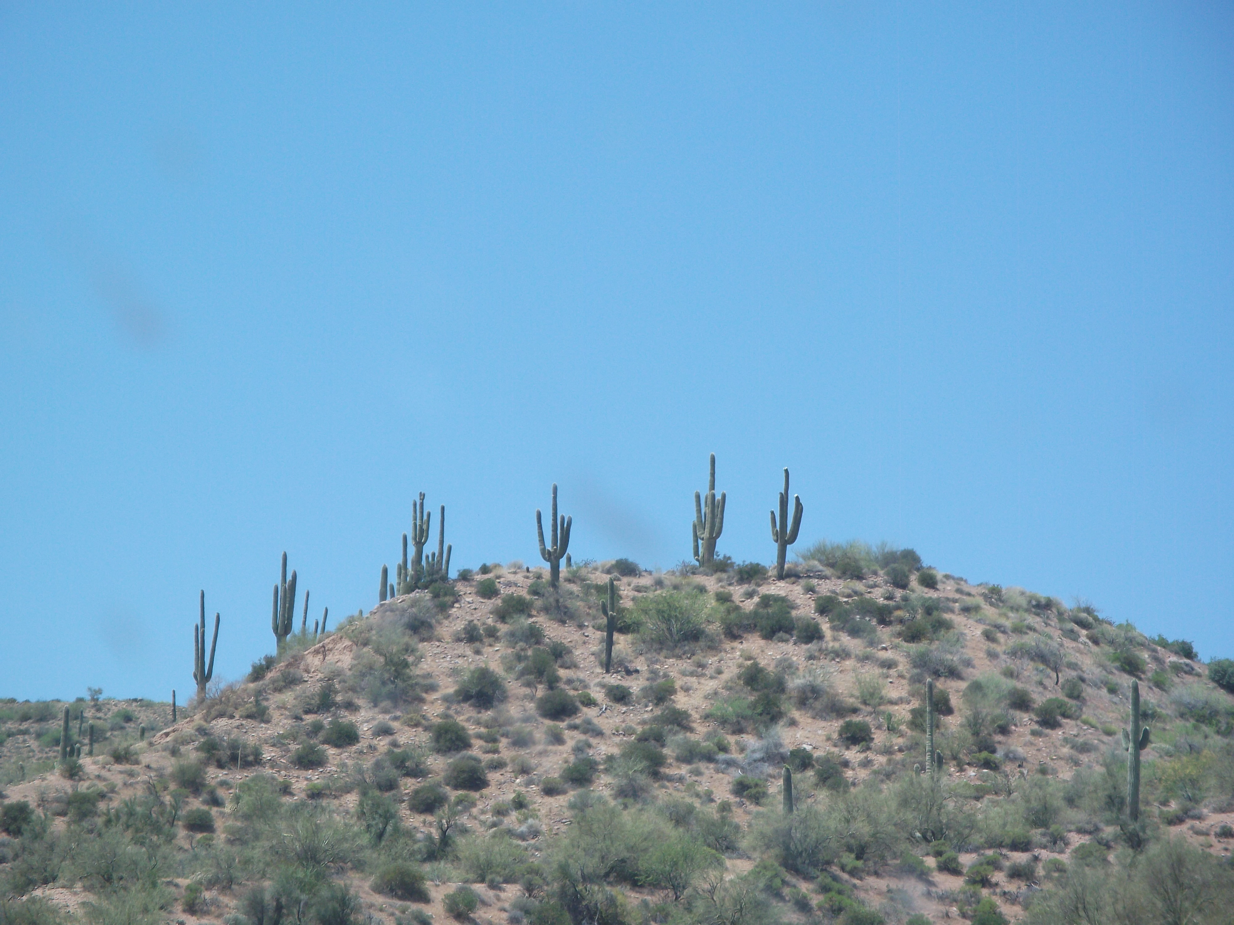 2012_05_01_roosevelt_lake_sk_0008.jpg (large)