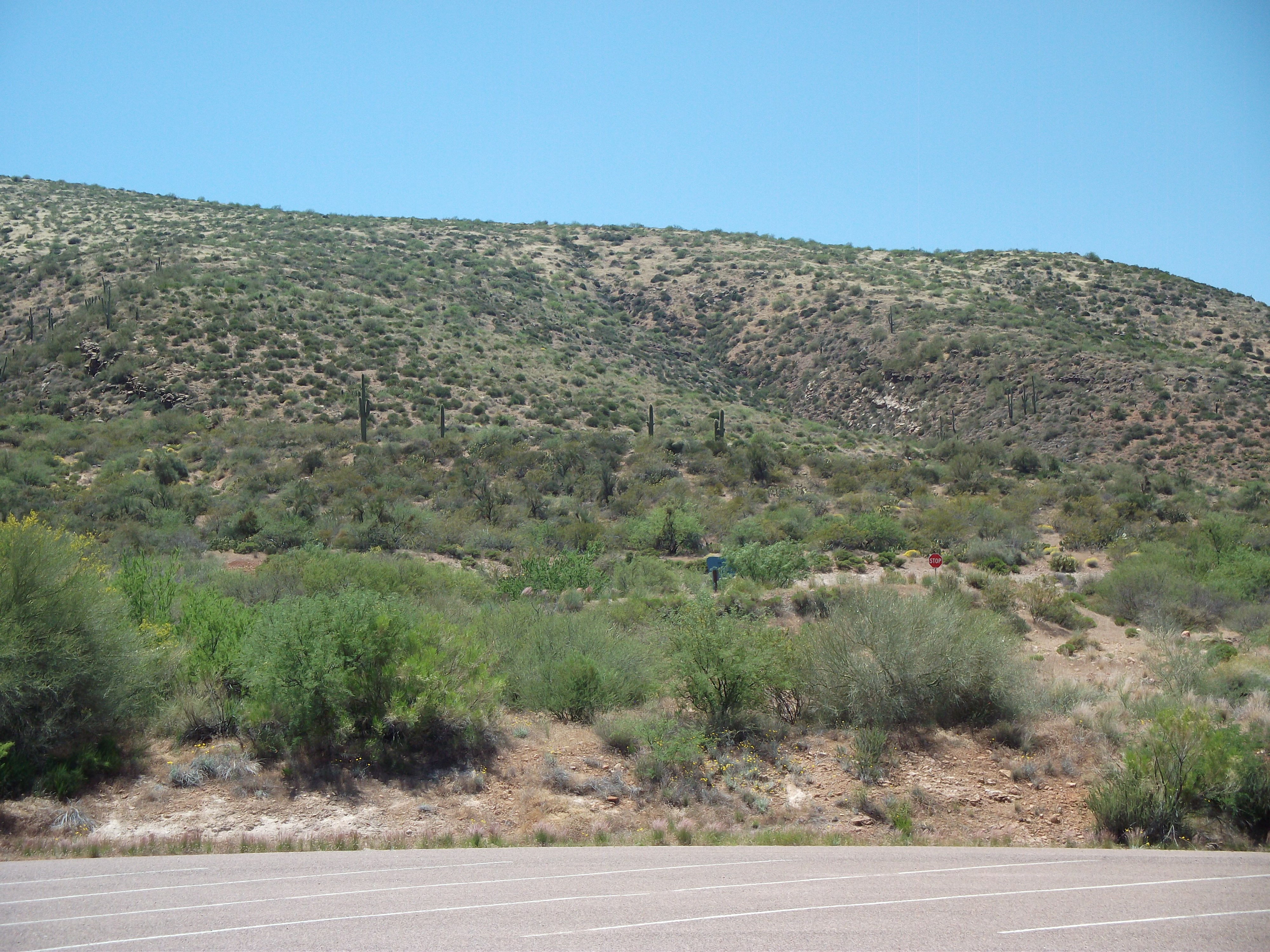 2012_05_01_roosevelt_lake_sk_0019.jpg (large)