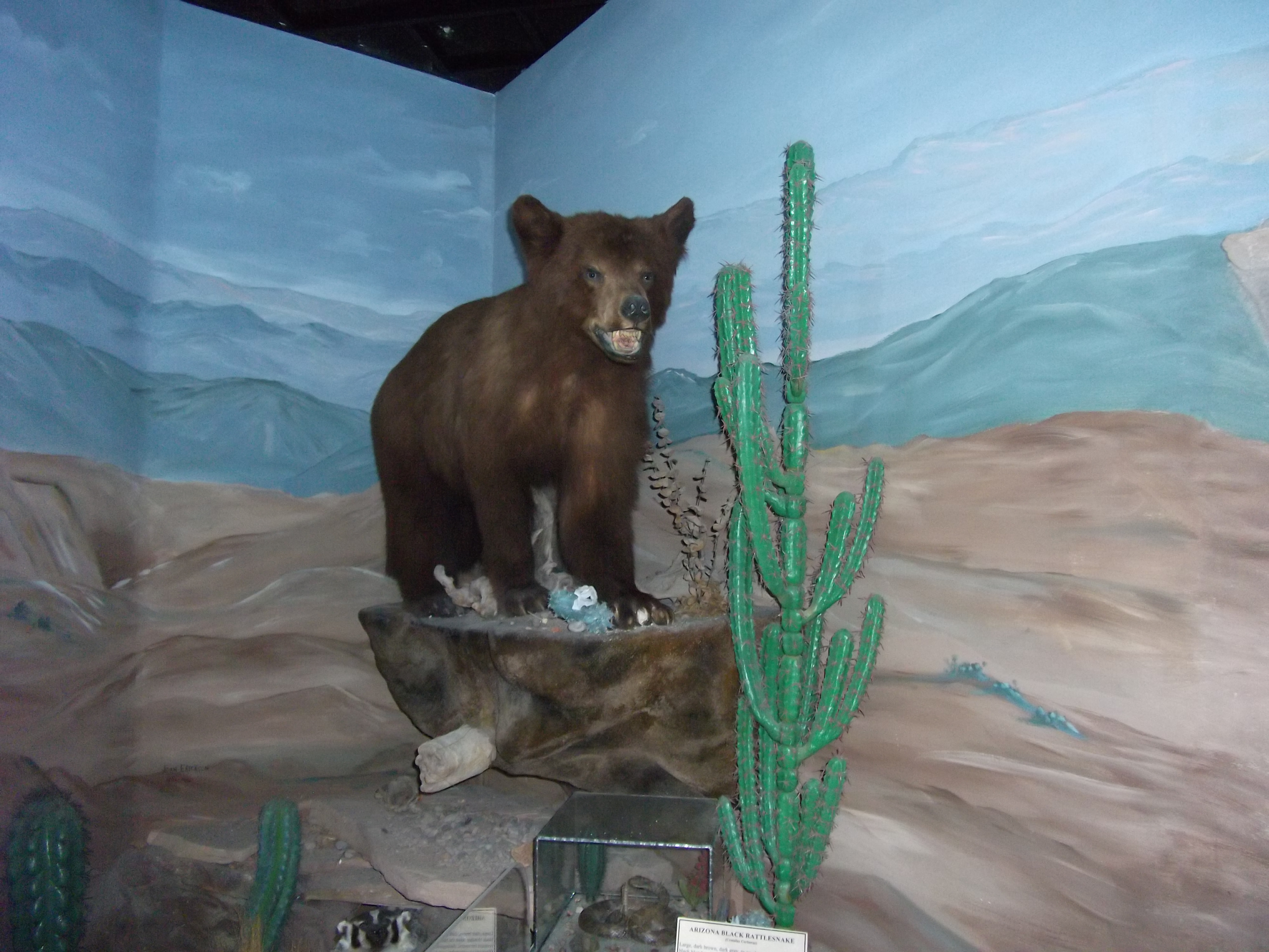 2012_05_01_roosevelt_lake_sk_0030.jpg (large)