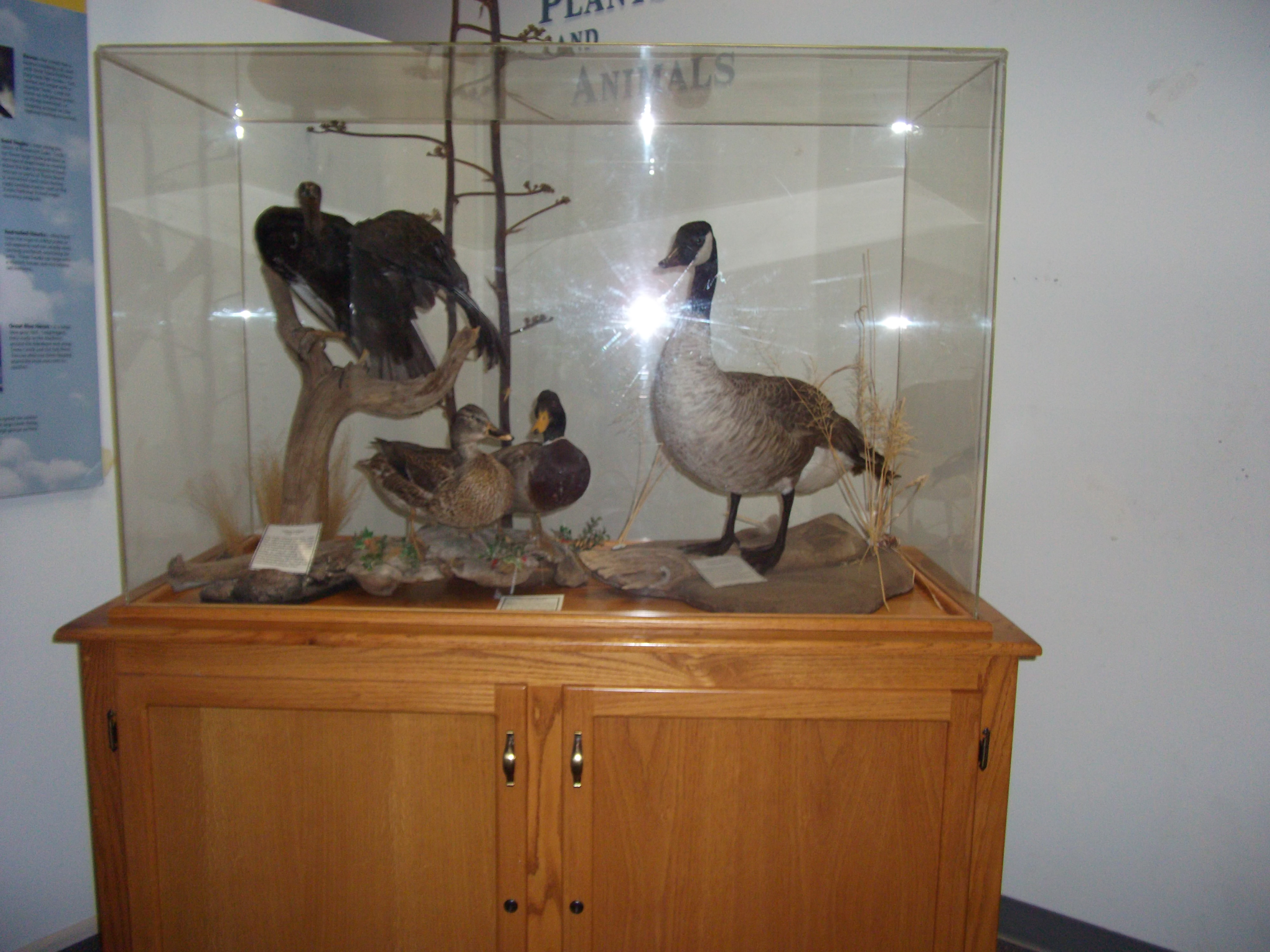 2012_05_01_roosevelt_lake_sk_0031.jpg (large)