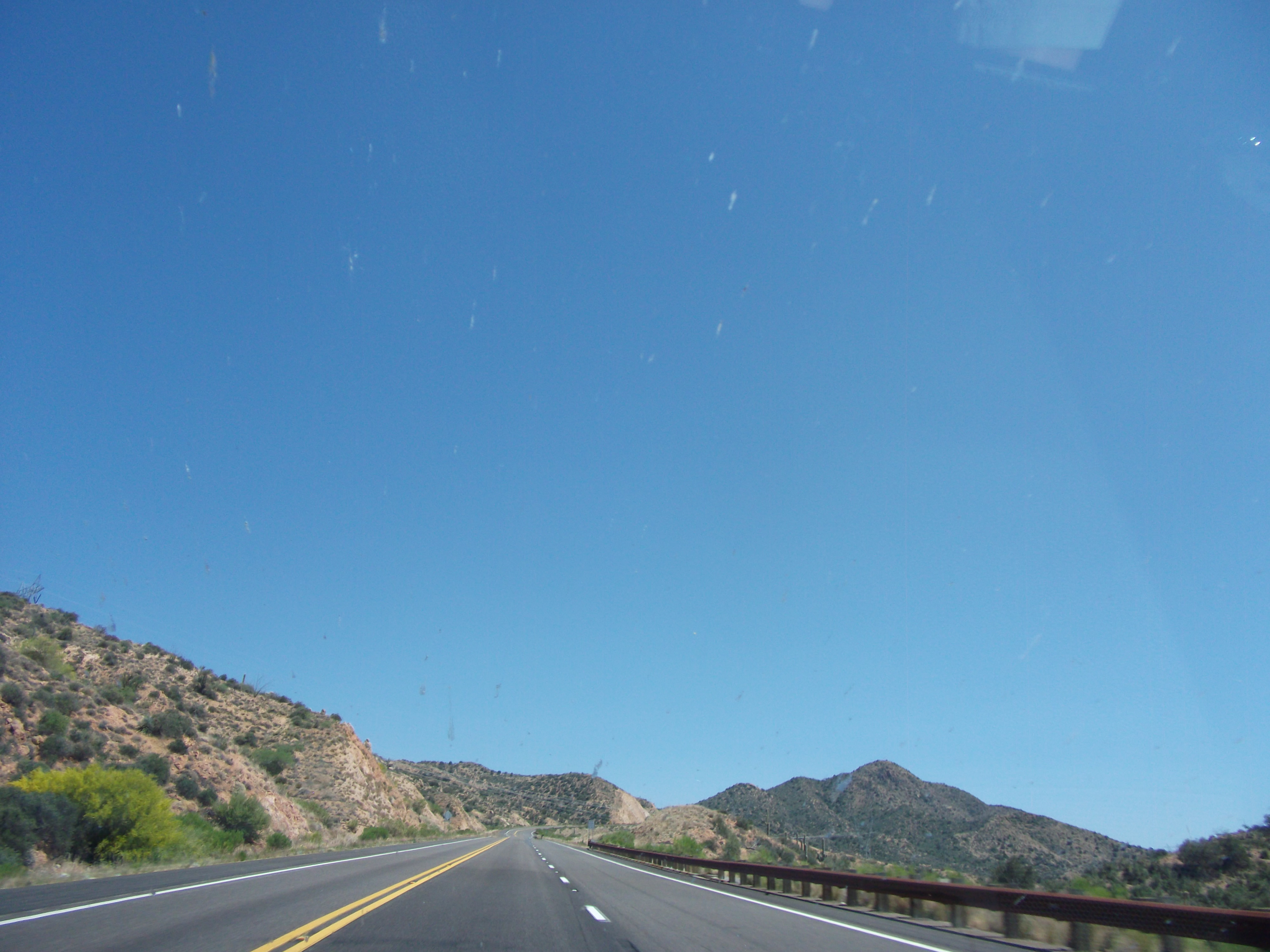 Bug guts on the Window