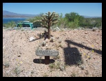 Chain Fruit Cholla sign and plant