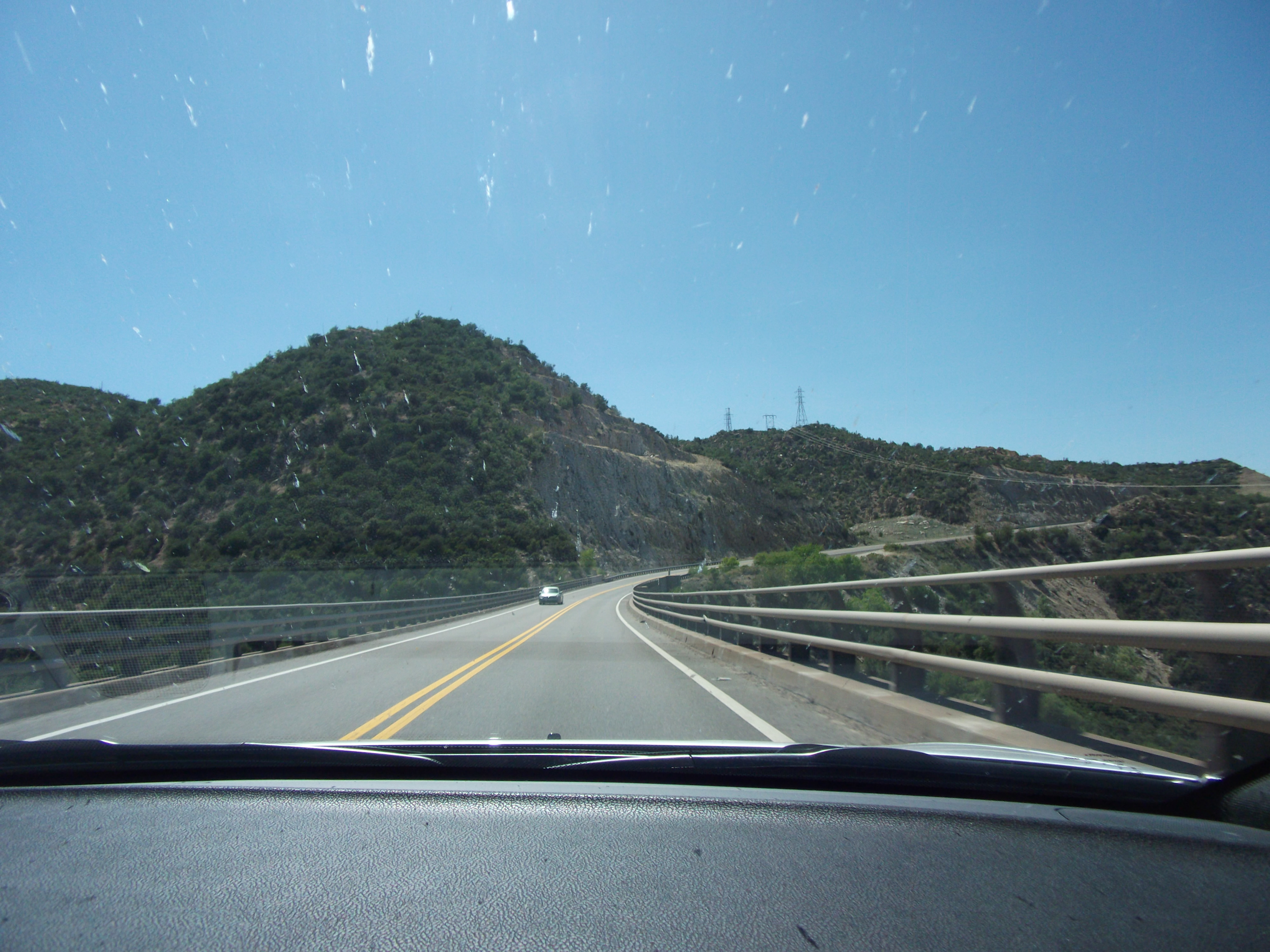 Bugs on the Wind Shield new Globe