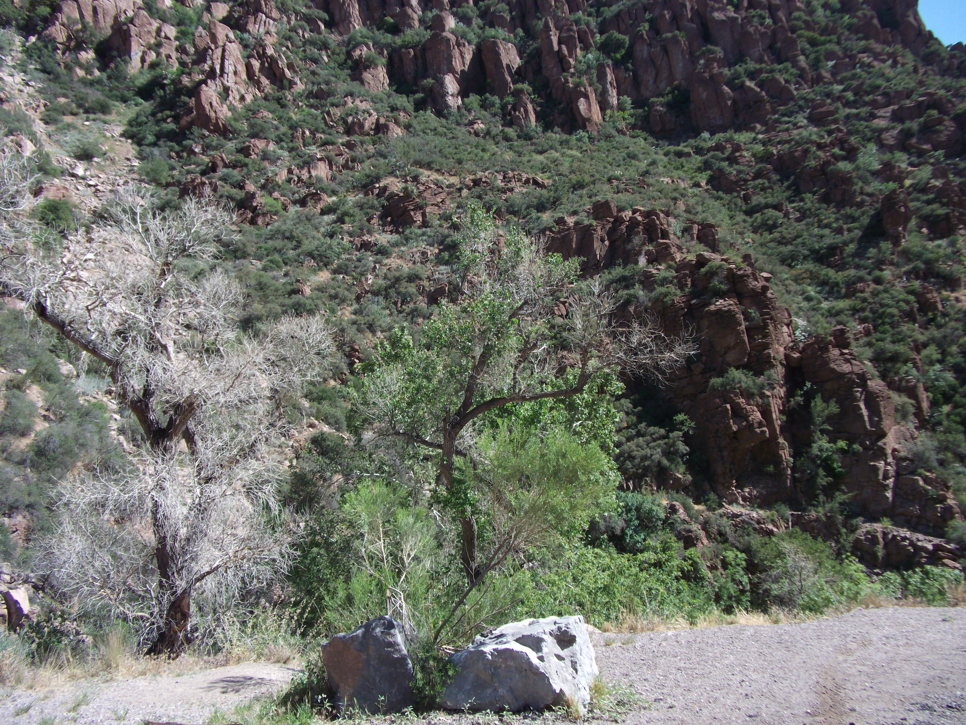 2012_05_01_globe_miami_sk_0031.jpg (large)