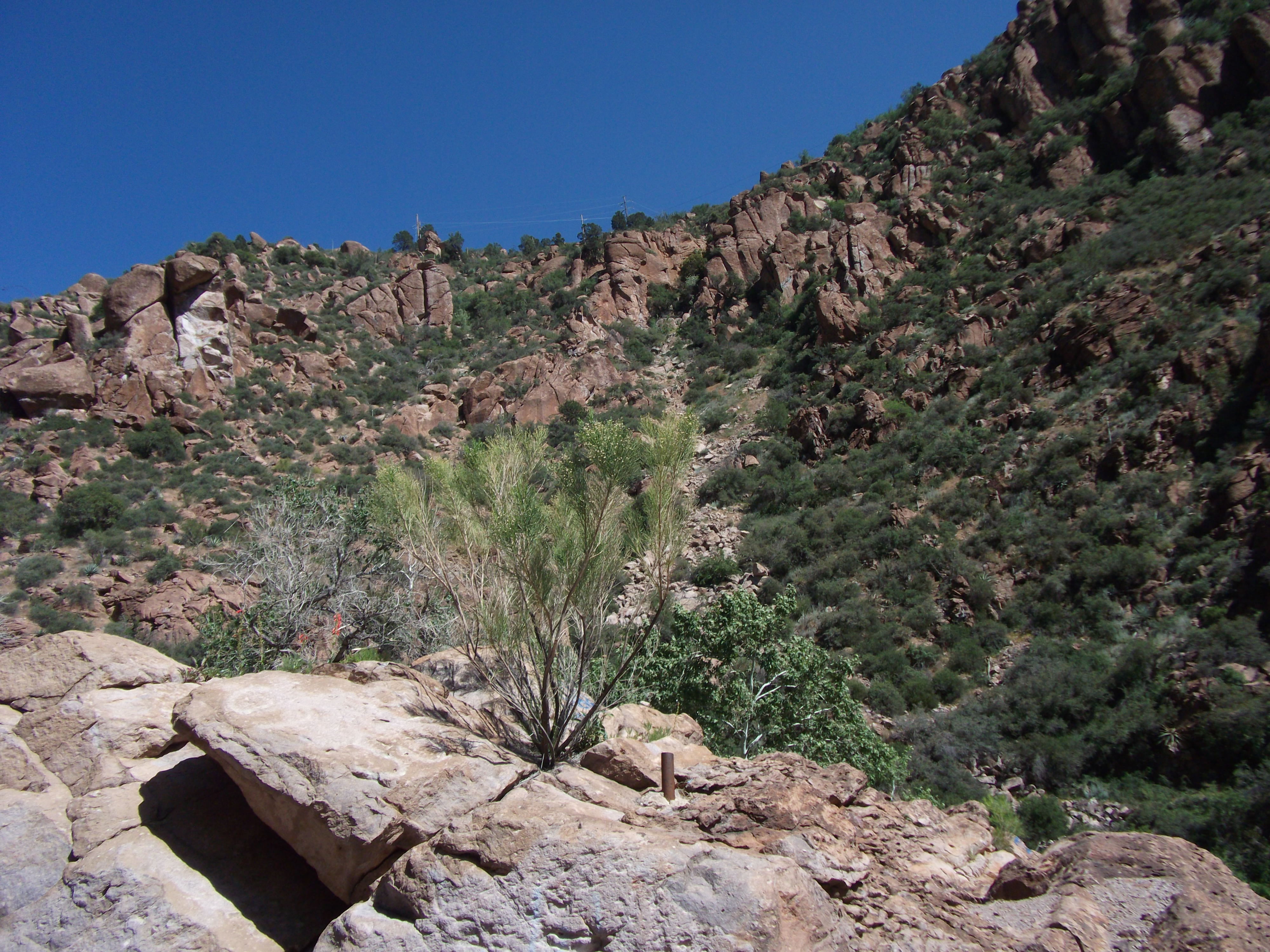 2012_05_01_globe_miami_sk_0036.jpg (large)