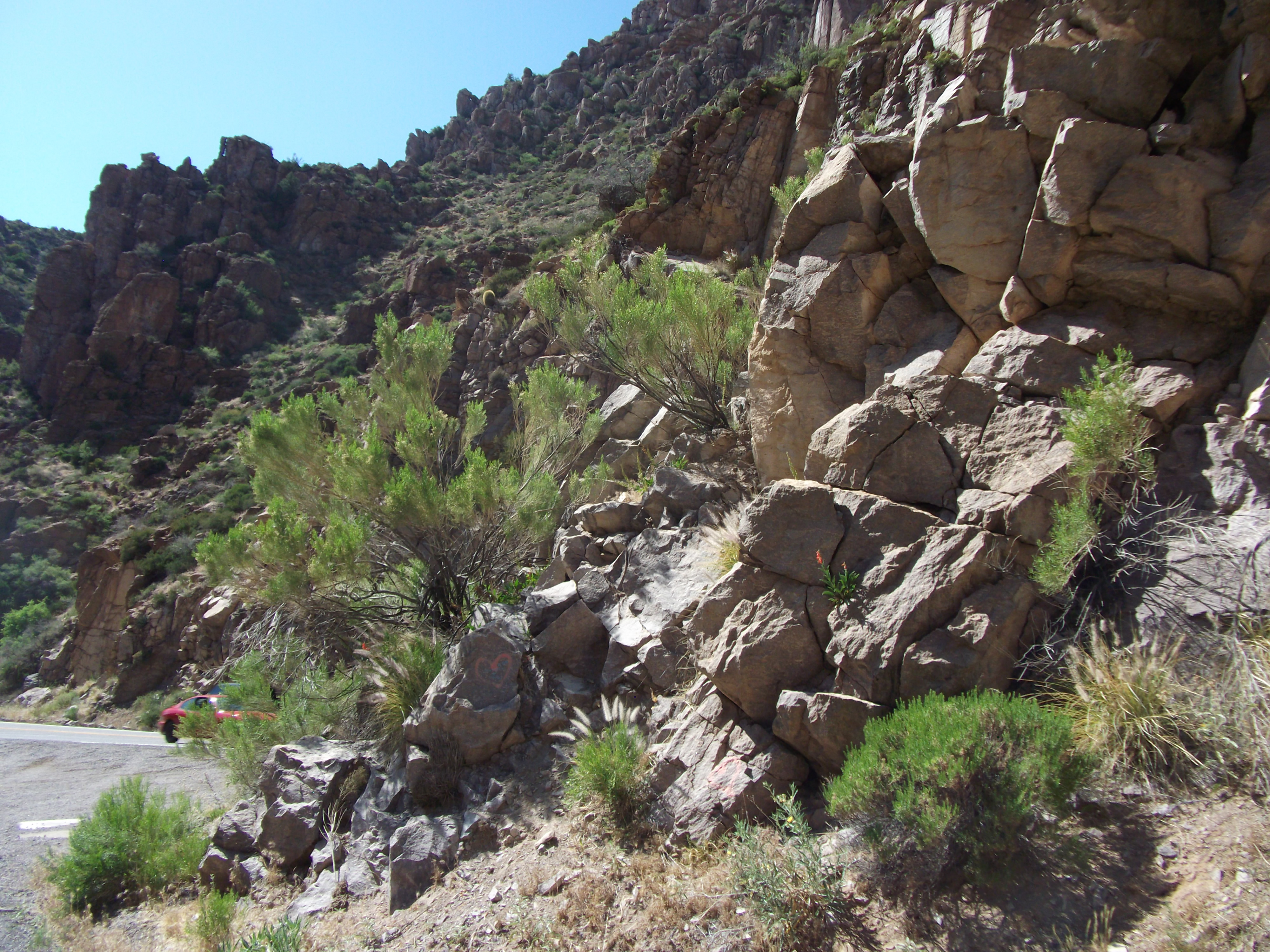 2012_05_01_globe_miami_sk_0037.jpg (large)