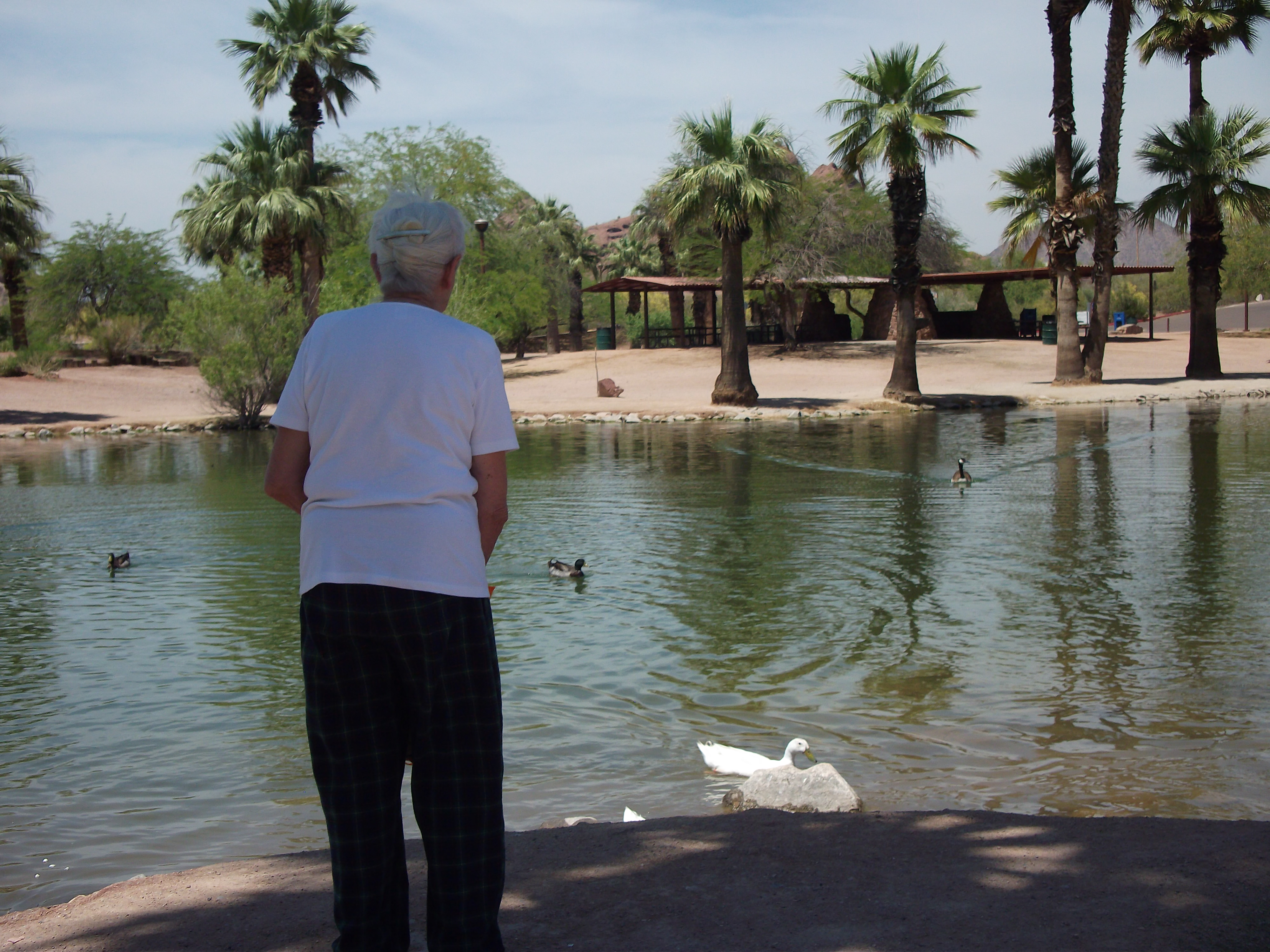 Stella feeding ducks in Papagp Park