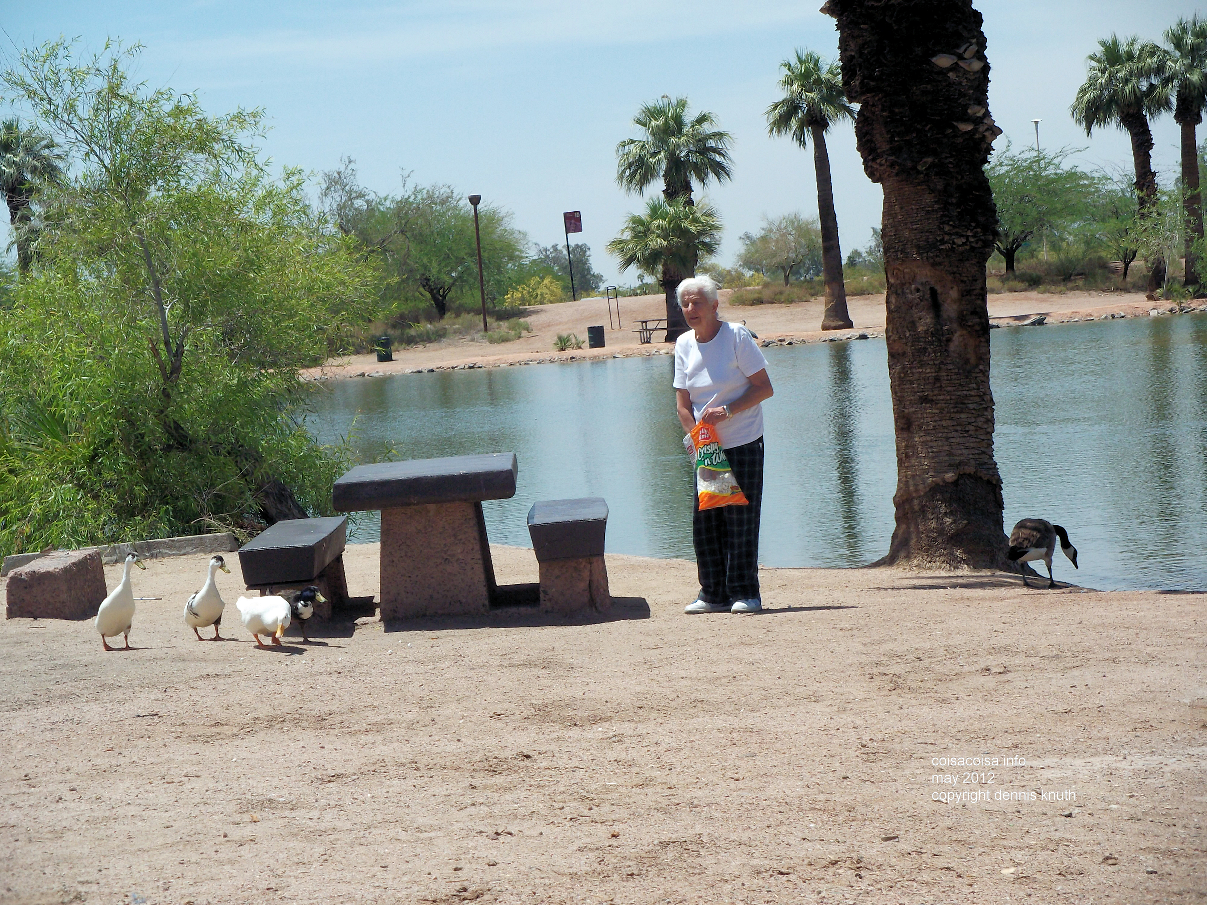Stella Feeds the Geese in Papago