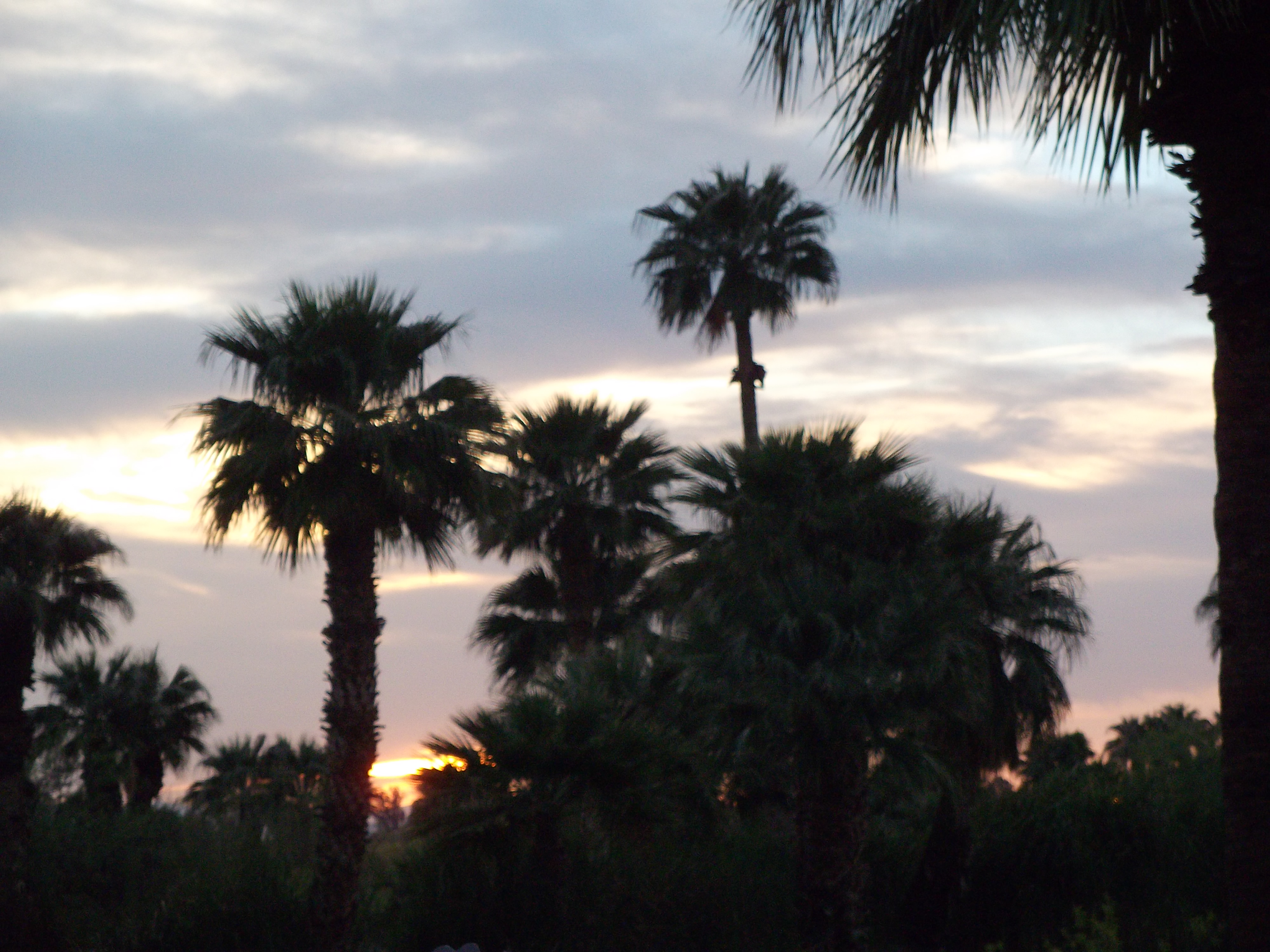 Sunset and clouds in Papago Park