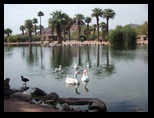 2012_05_01_papago_park_sk_0005.jpg