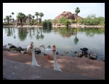 2012_05_01_papago_park_sk_0009.jpg