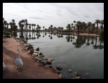 2012_05_01_papago_park_sk_0015.jpg