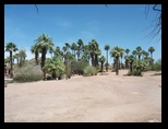 2012_05_01_papago_park_sk_0022.jpg