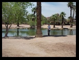 2012_05_01_papago_park_sk_0024.jpg